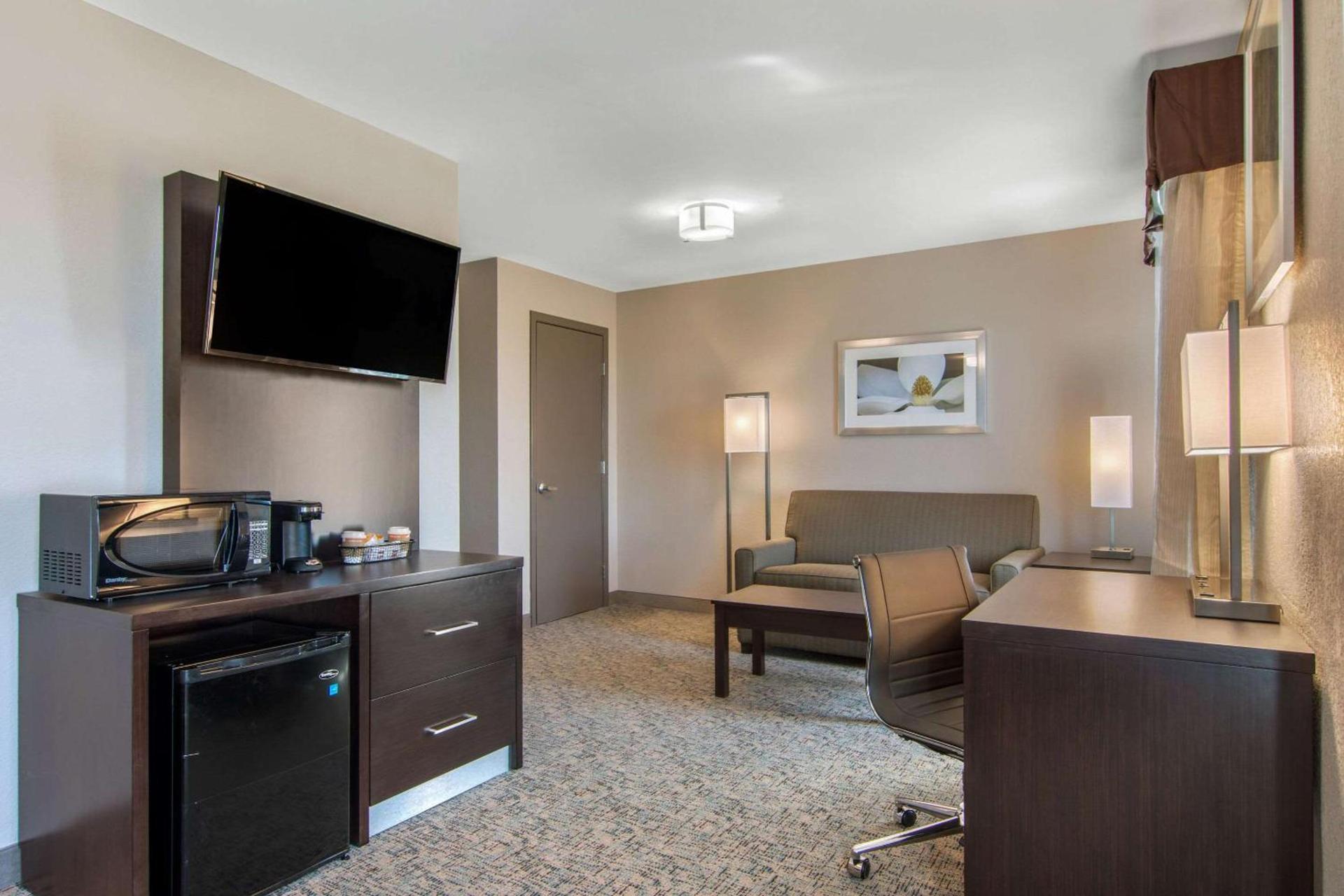Clarion Inn & Suites Atlanta Downtown photo 20