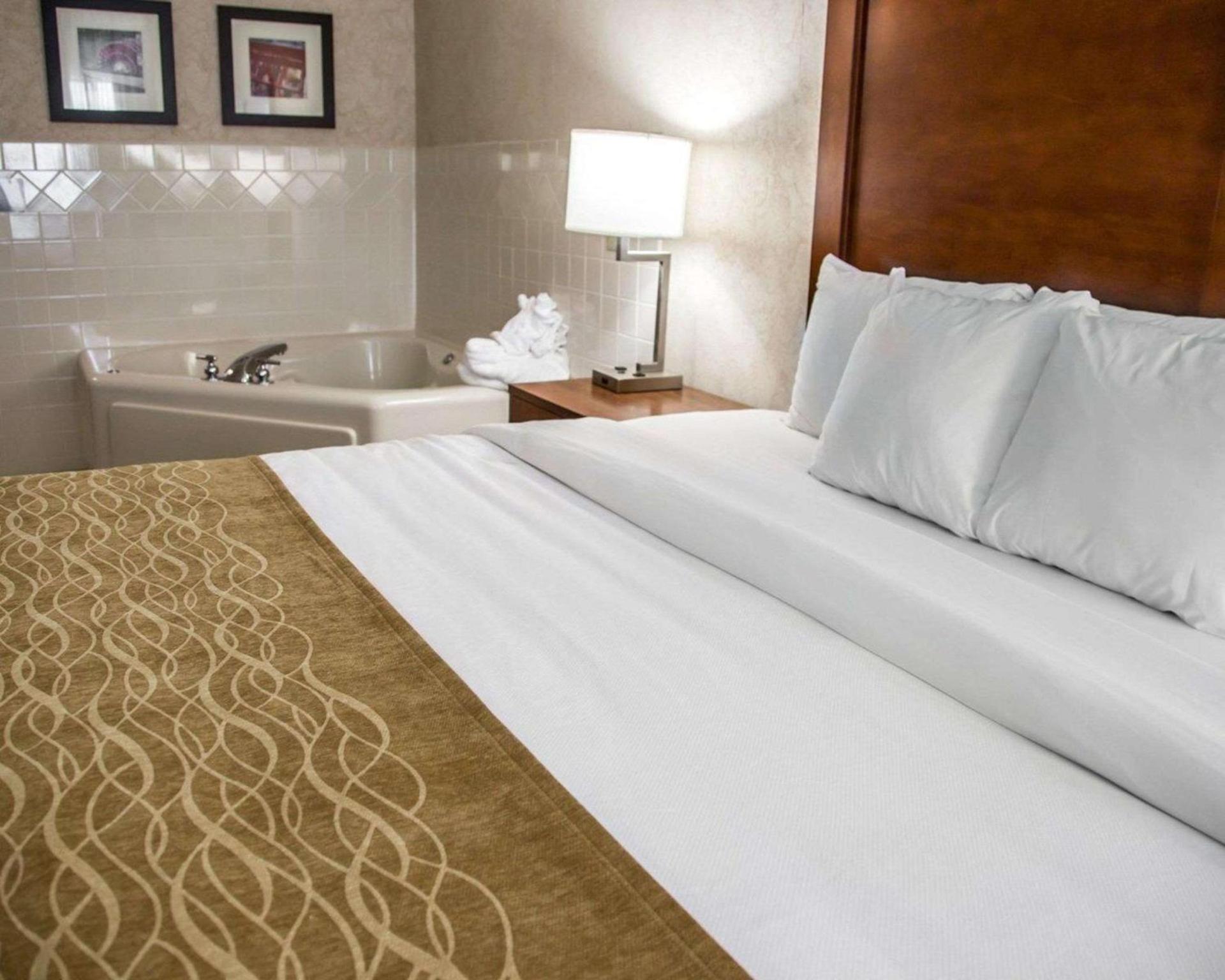 Comfort Inn & Suites Riverview near Davenport and I-80 photo 10