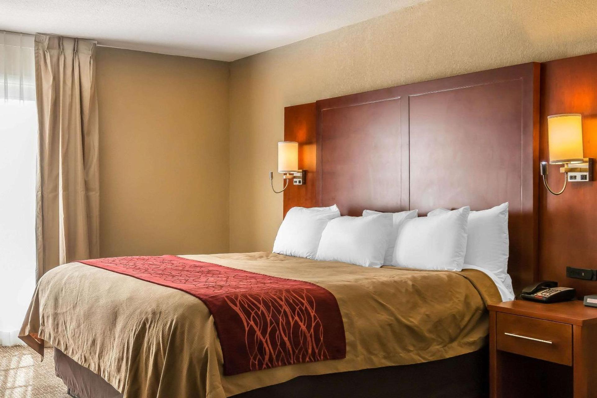 Comfort Inn Savannah Midtown photo 9