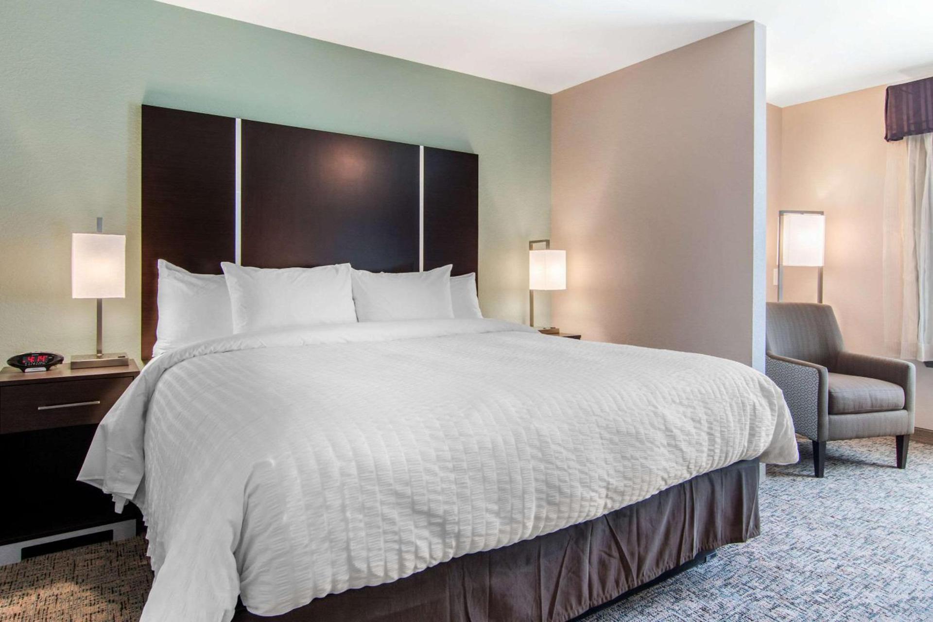 Clarion Inn & Suites Atlanta Downtown photo 3