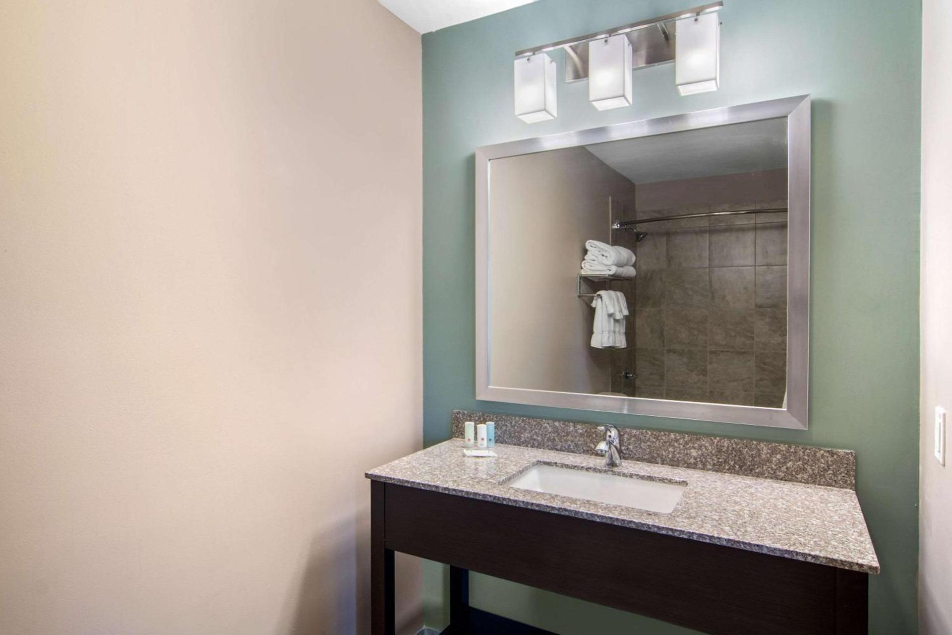 Clarion Inn & Suites Atlanta Downtown photo 6
