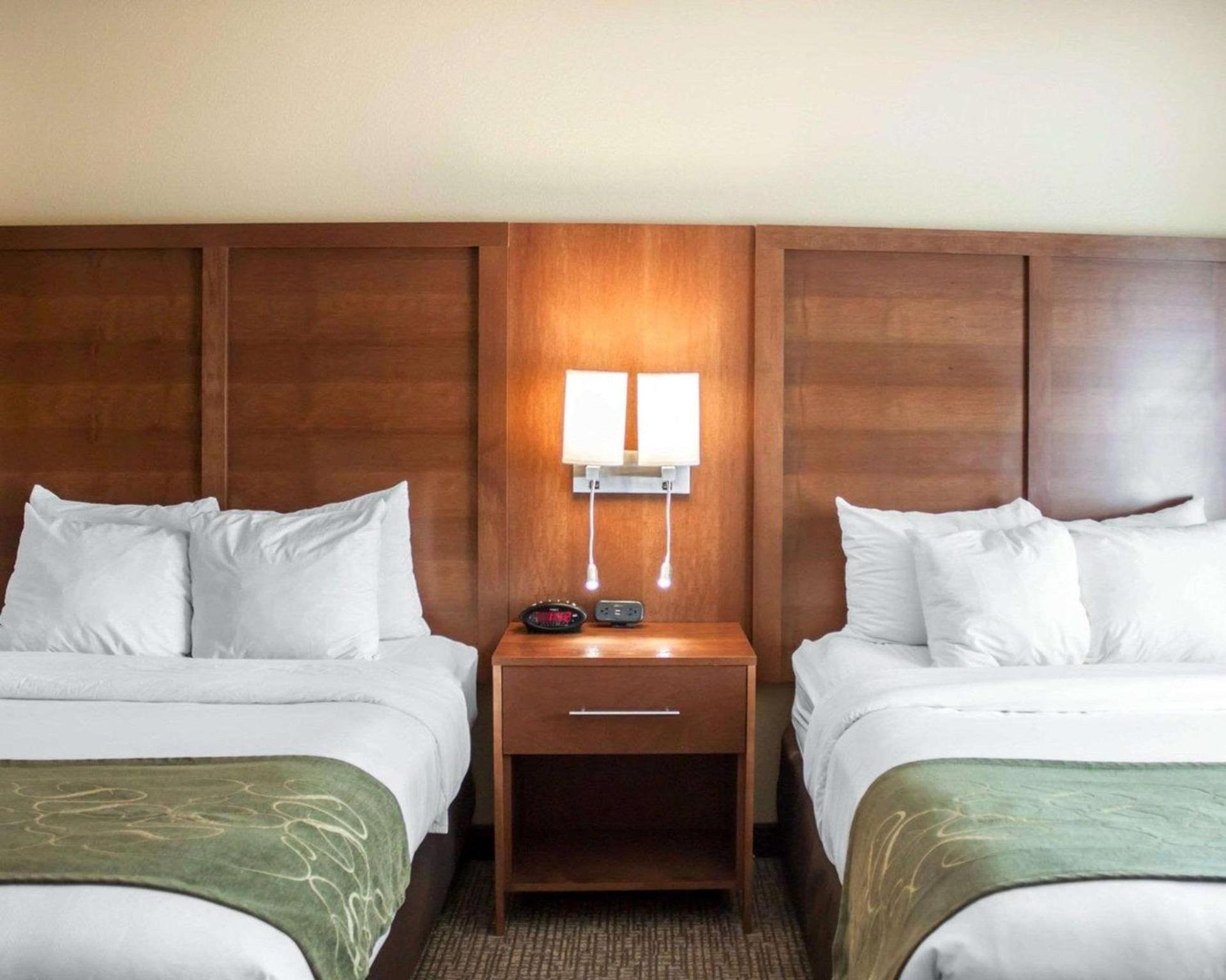 Comfort Suites Airport photo 28