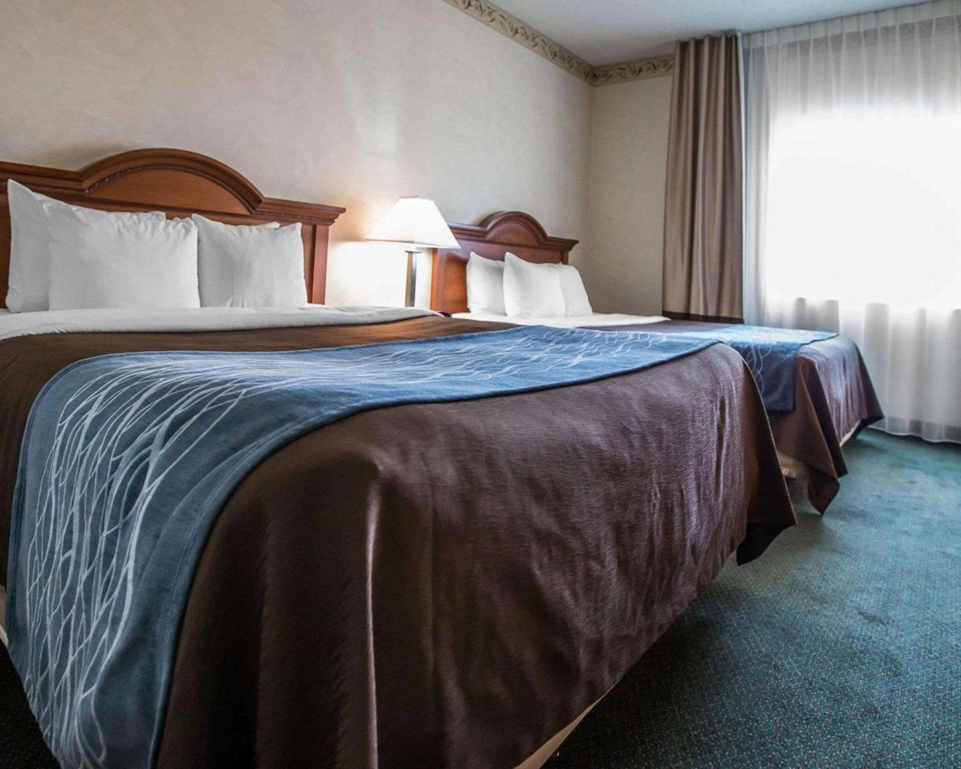 Quality Inn & Suites Dixon near I-88 photo 34