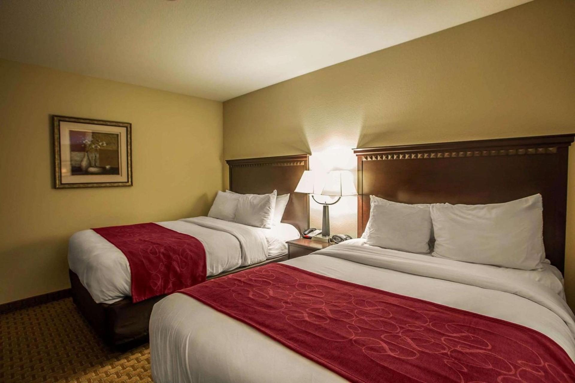 Comfort Suites Bloomington I-55 and I-74 photo 22