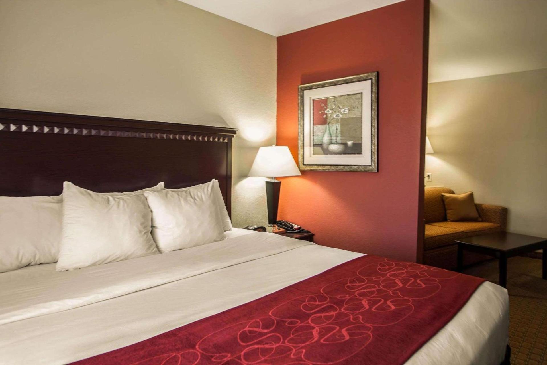Comfort Suites Bloomington I-55 and I-74 photo 15