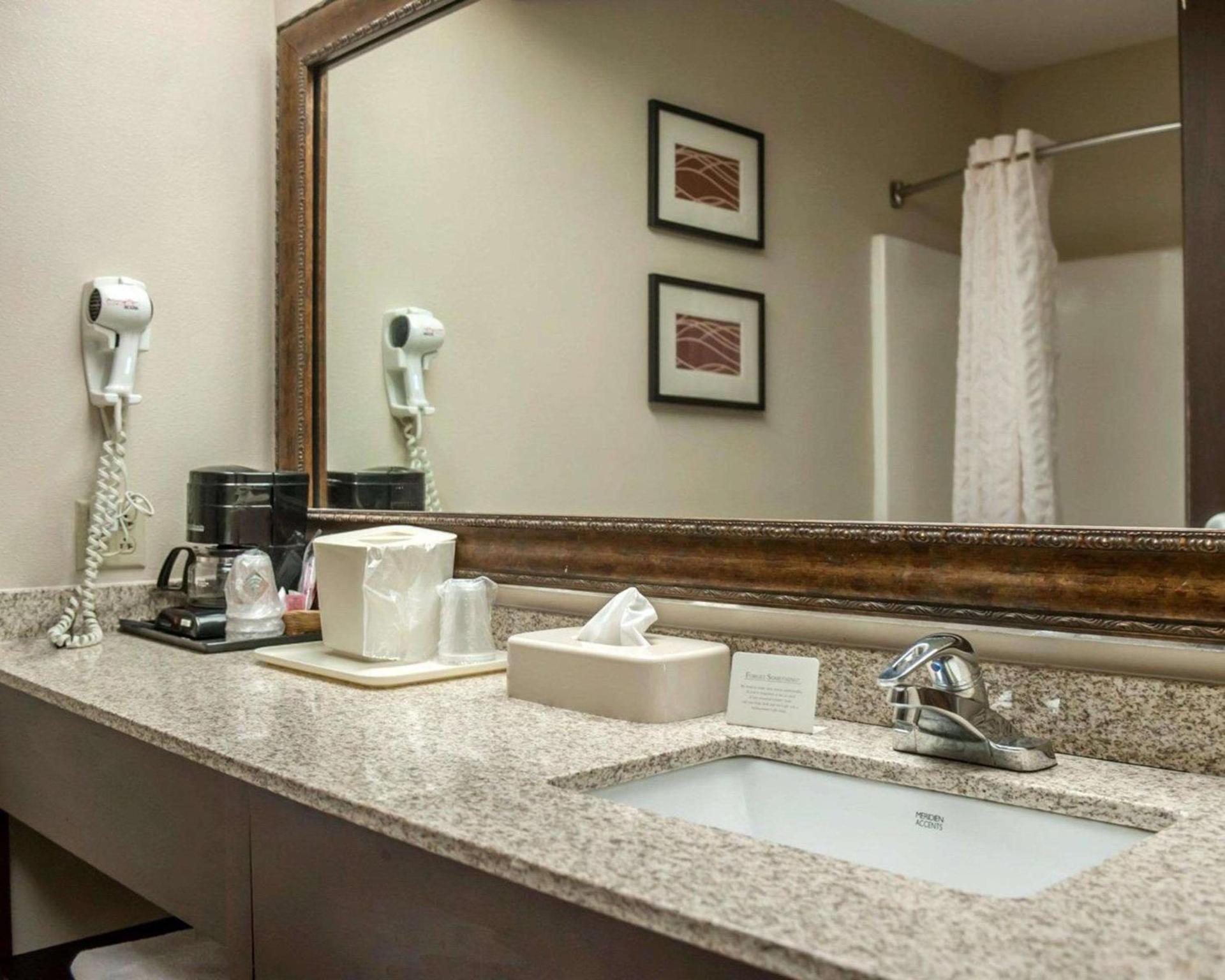 Quality Inn & Suites near St Louis and I-255 photo 4