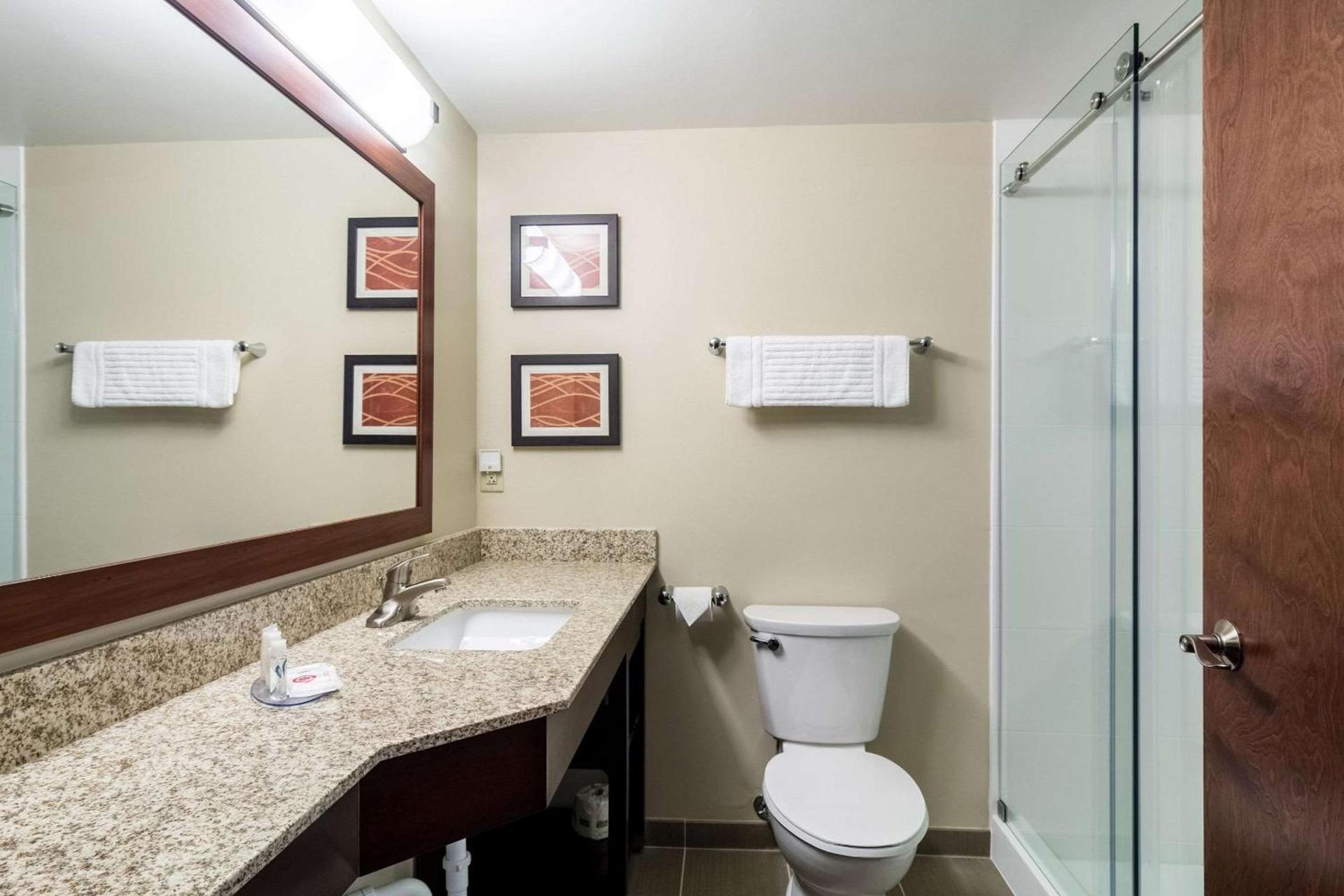 Comfort Inn Edwardsville - St Louis photo 27