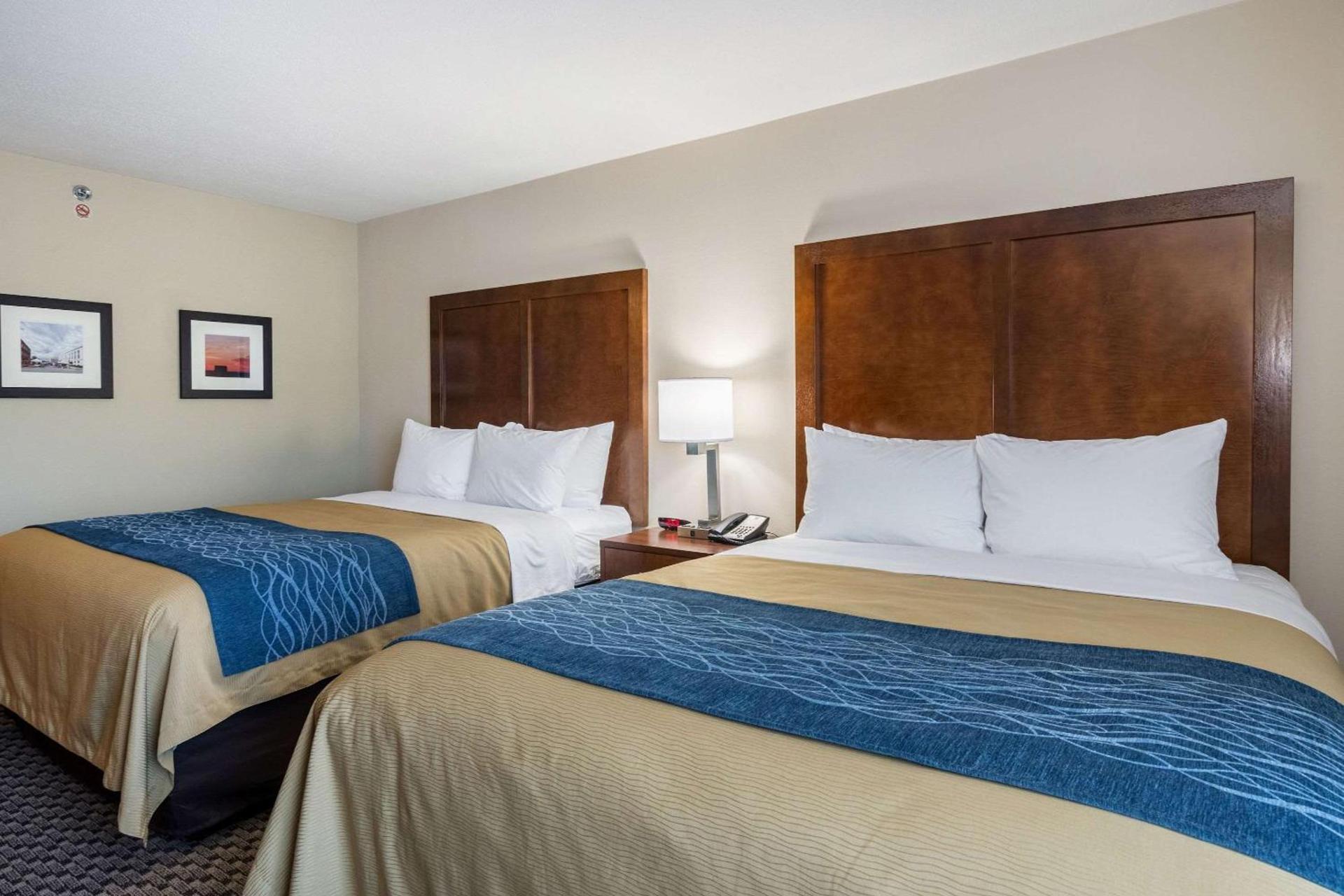 Comfort Inn Edwardsville - St Louis photo 12