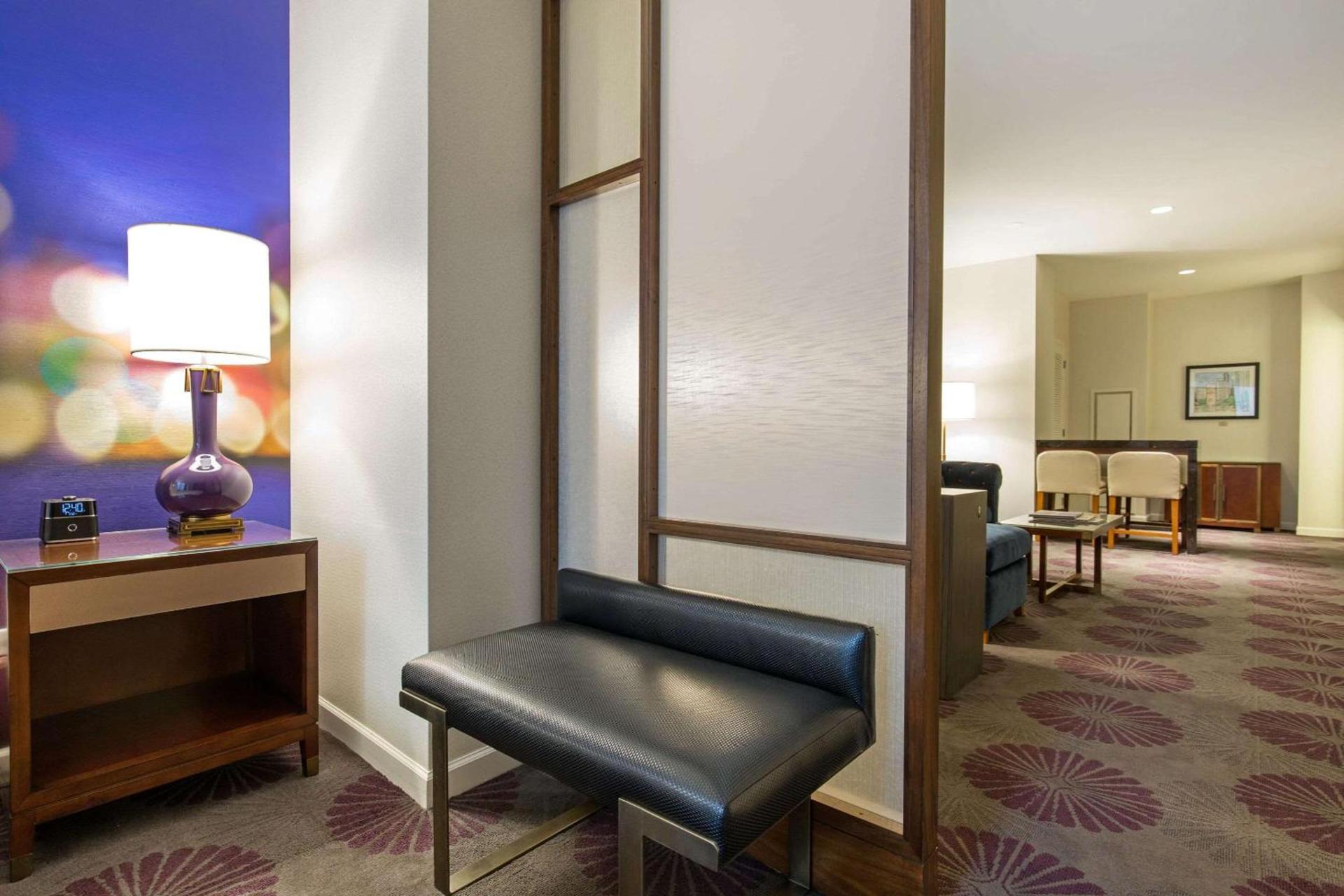 The Chicago Hotel Collection Magnificent Mile photo 36