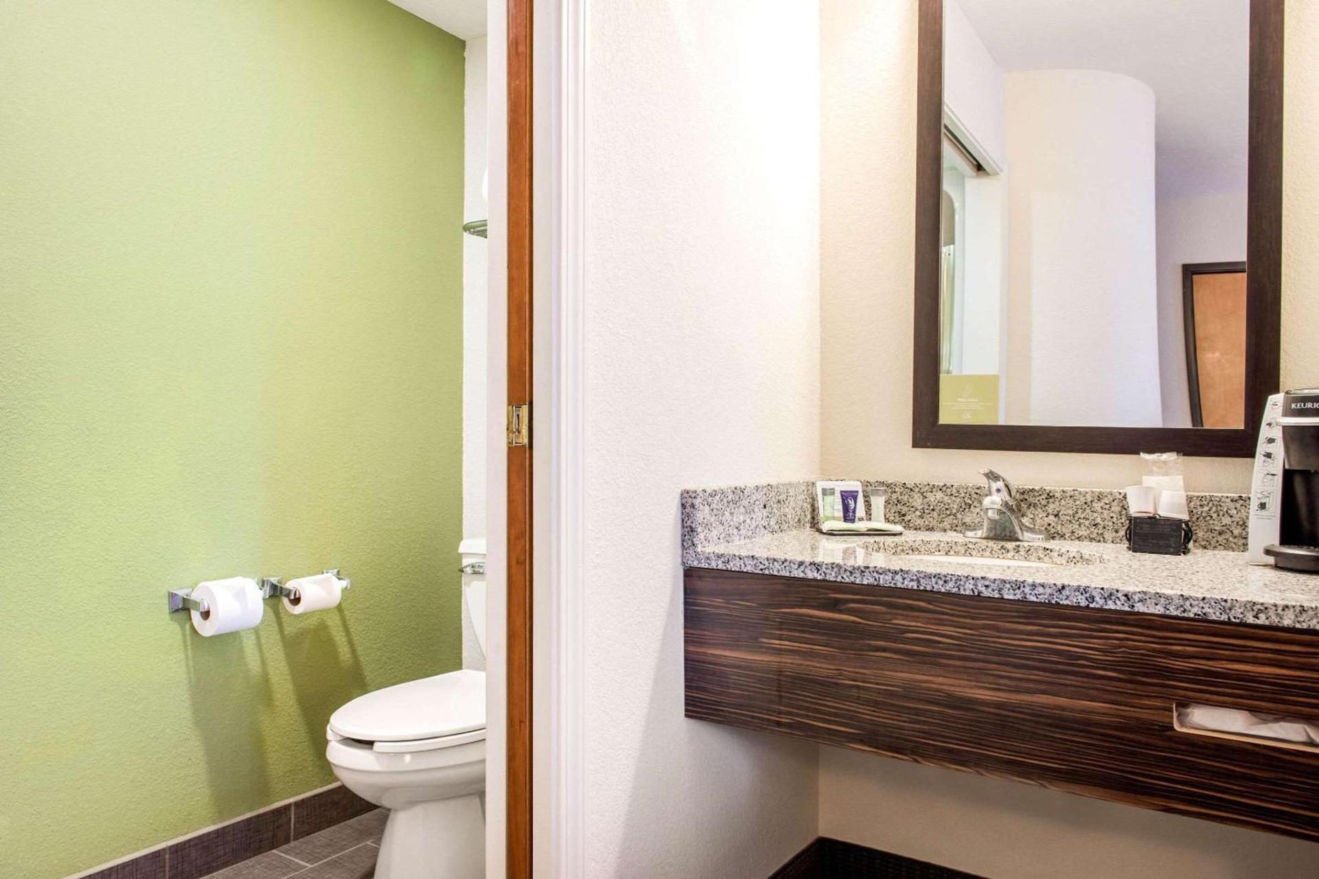Sleep Inn & Suites Columbus South photo 13