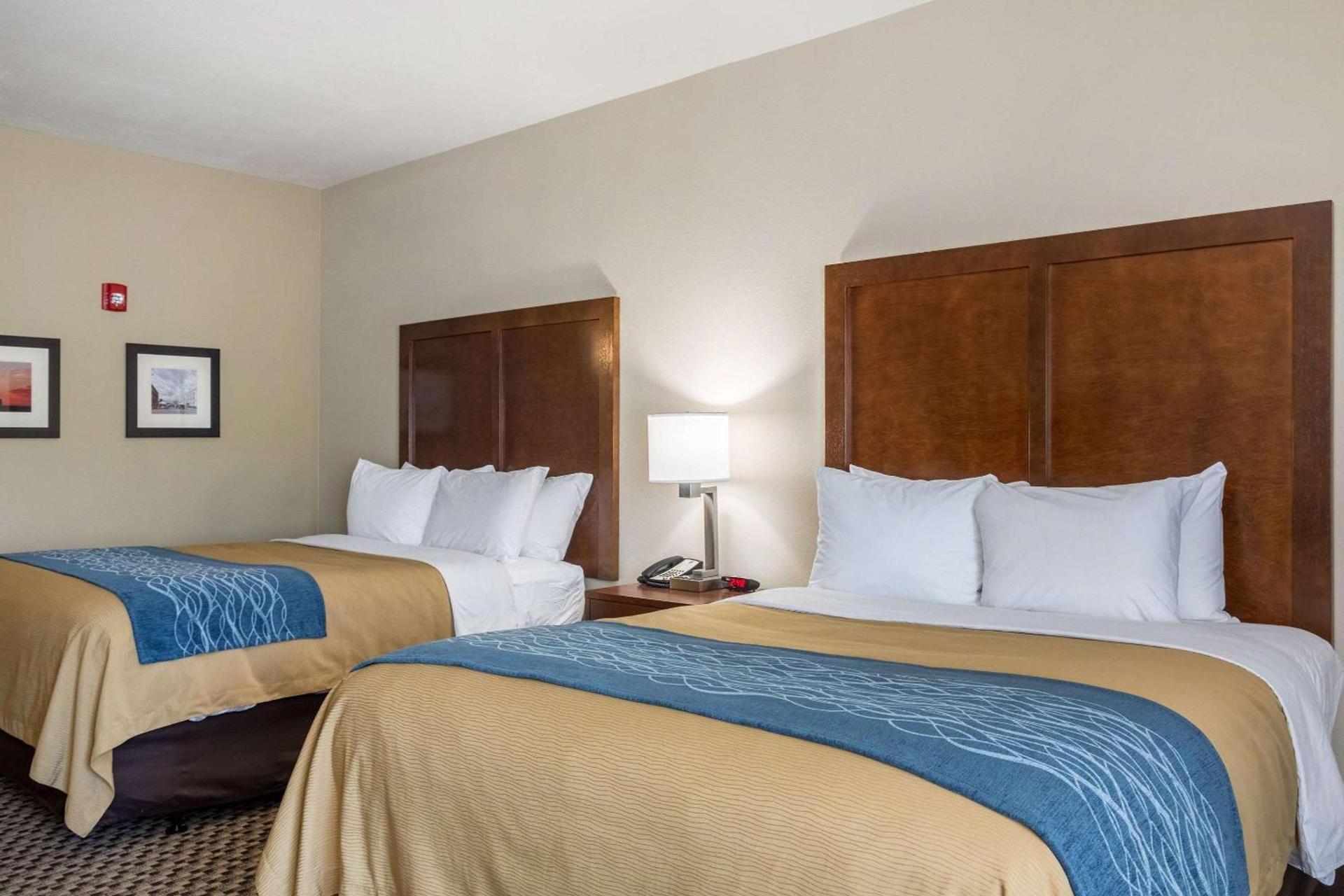 Comfort Inn Edwardsville - St Louis photo 7