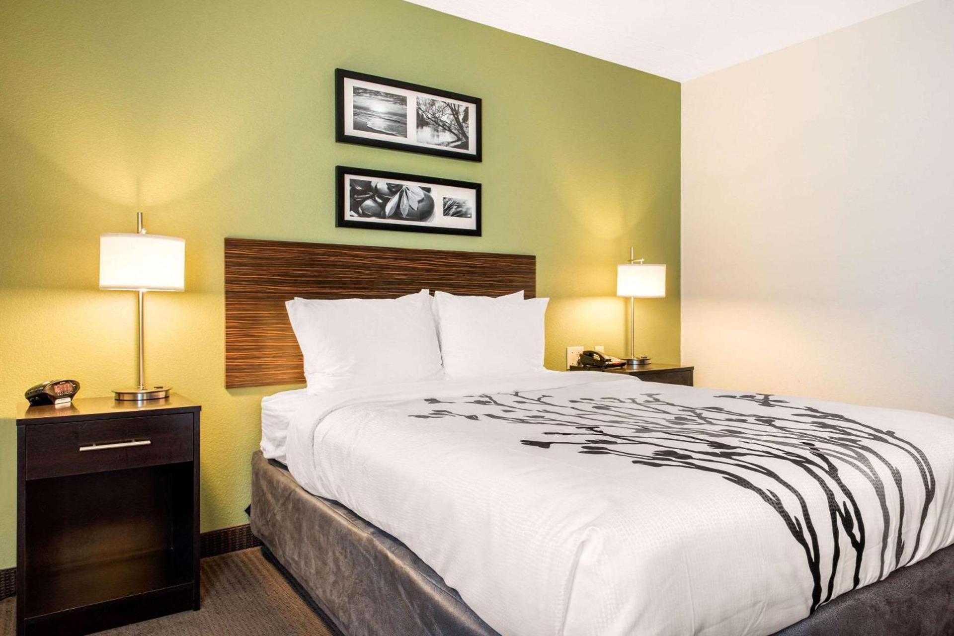 Sleep Inn & Suites Columbus South photo 18