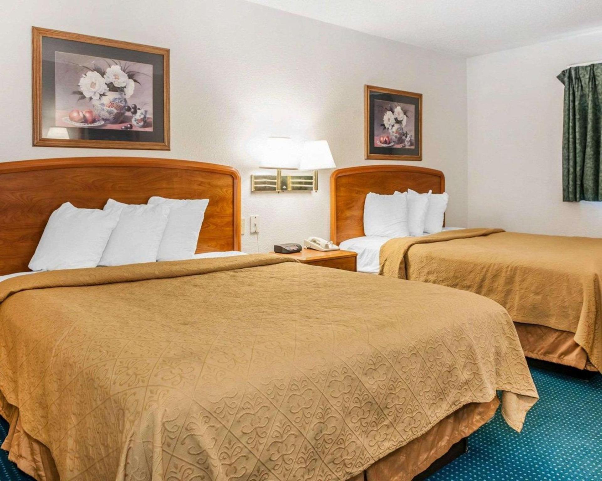 Quality Inn South photo 19