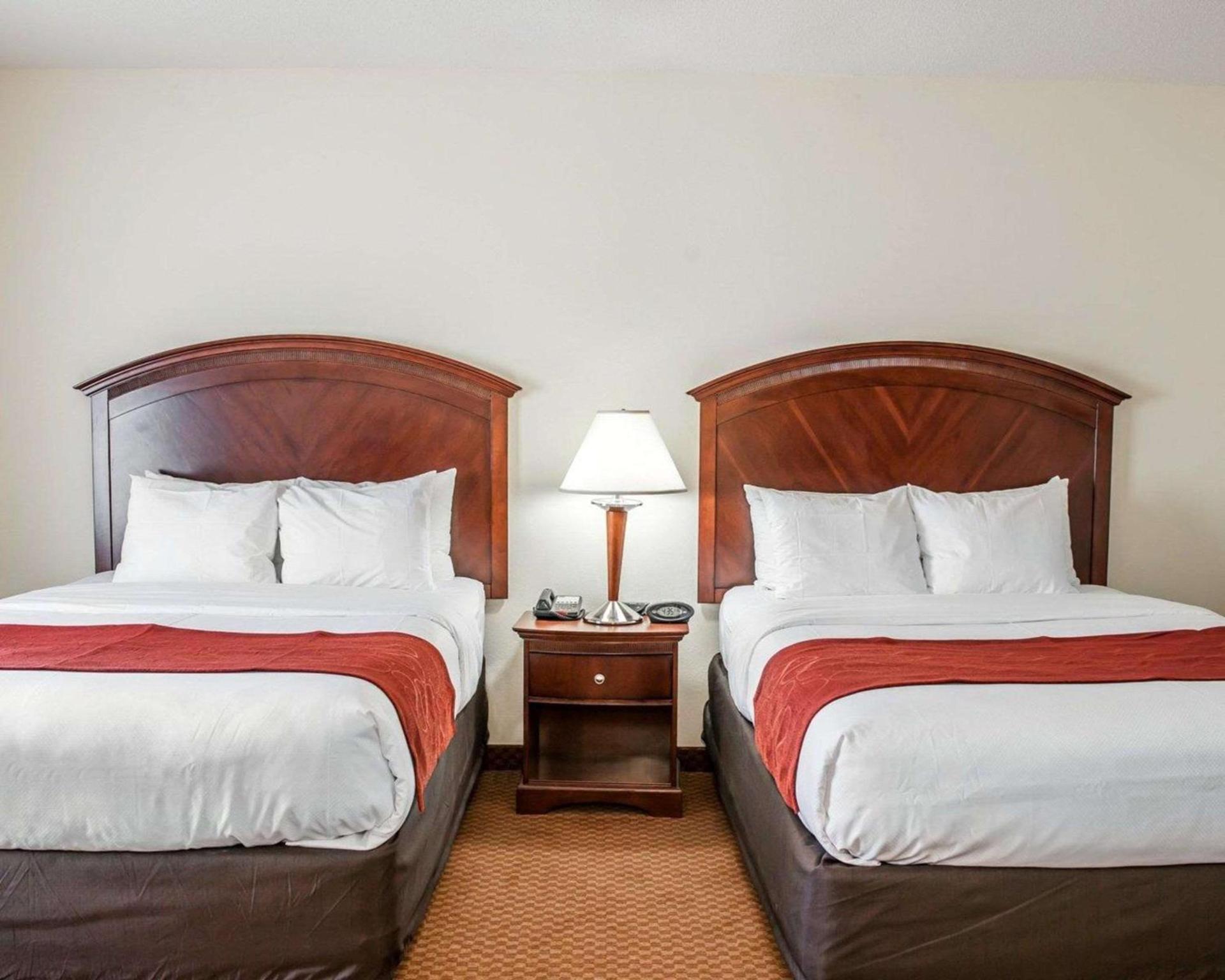 Comfort Suites near Indianapolis Airport photo 16