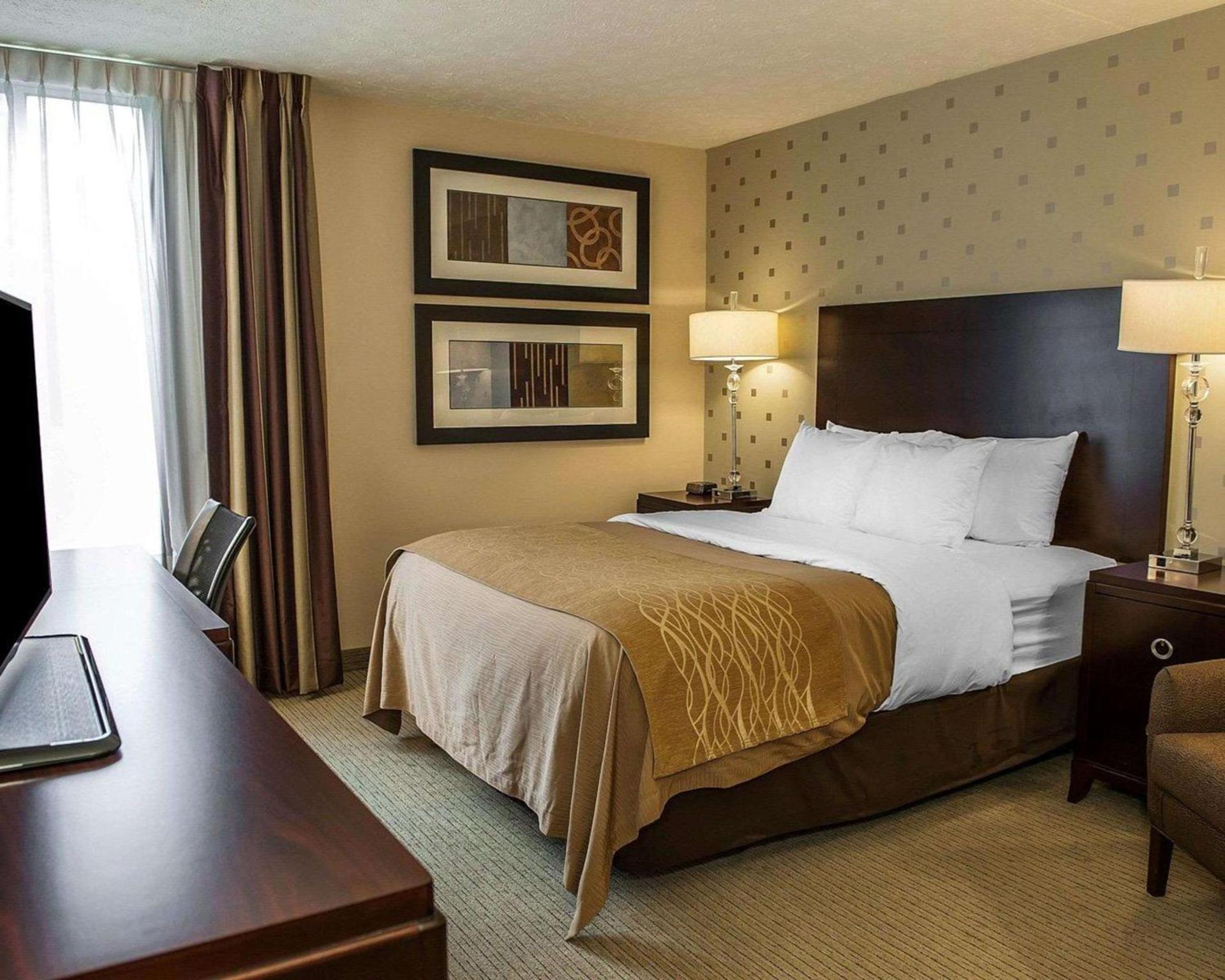 Comfort Inn Bloomington near University photo 19