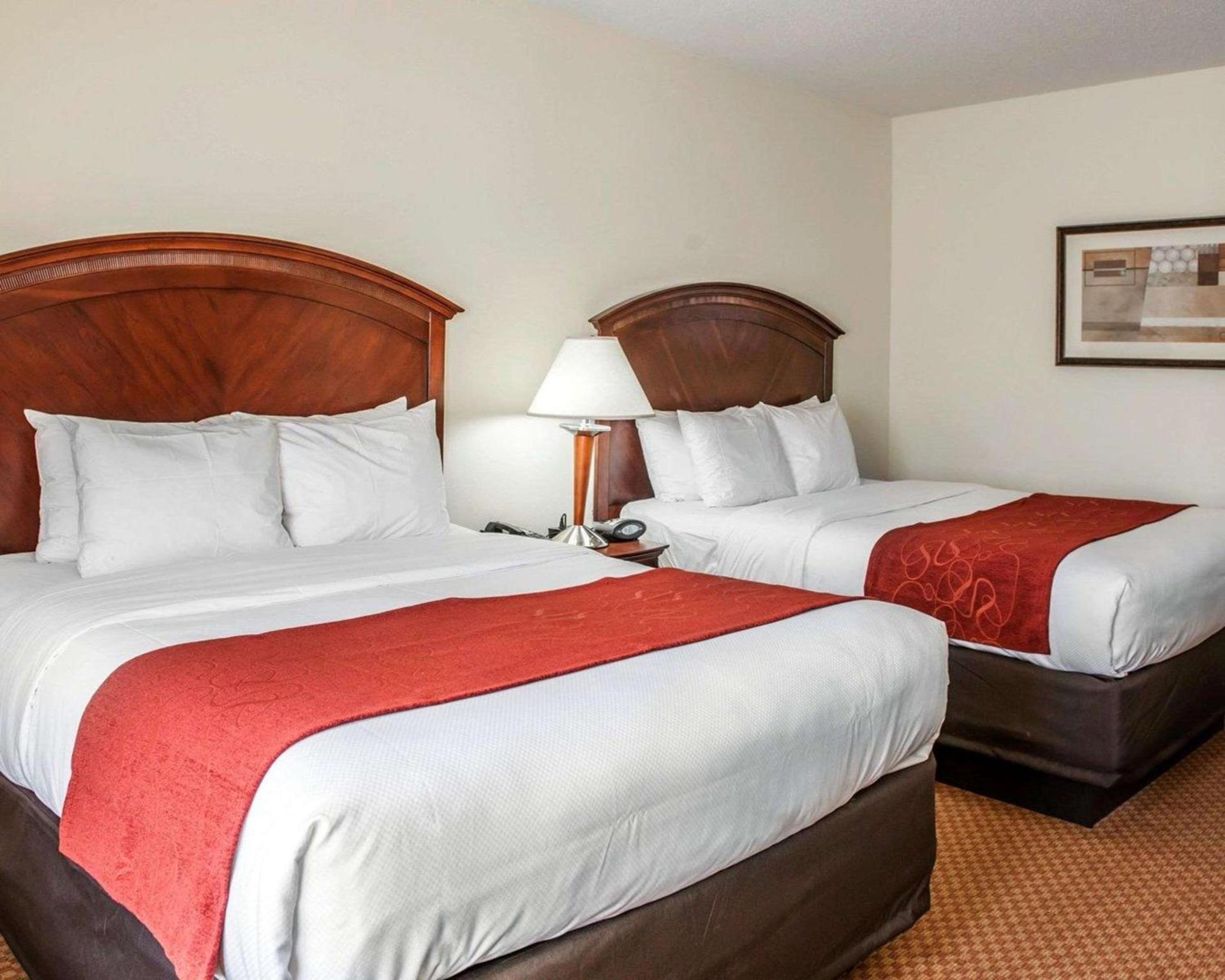 Comfort Suites near Indianapolis Airport photo 15
