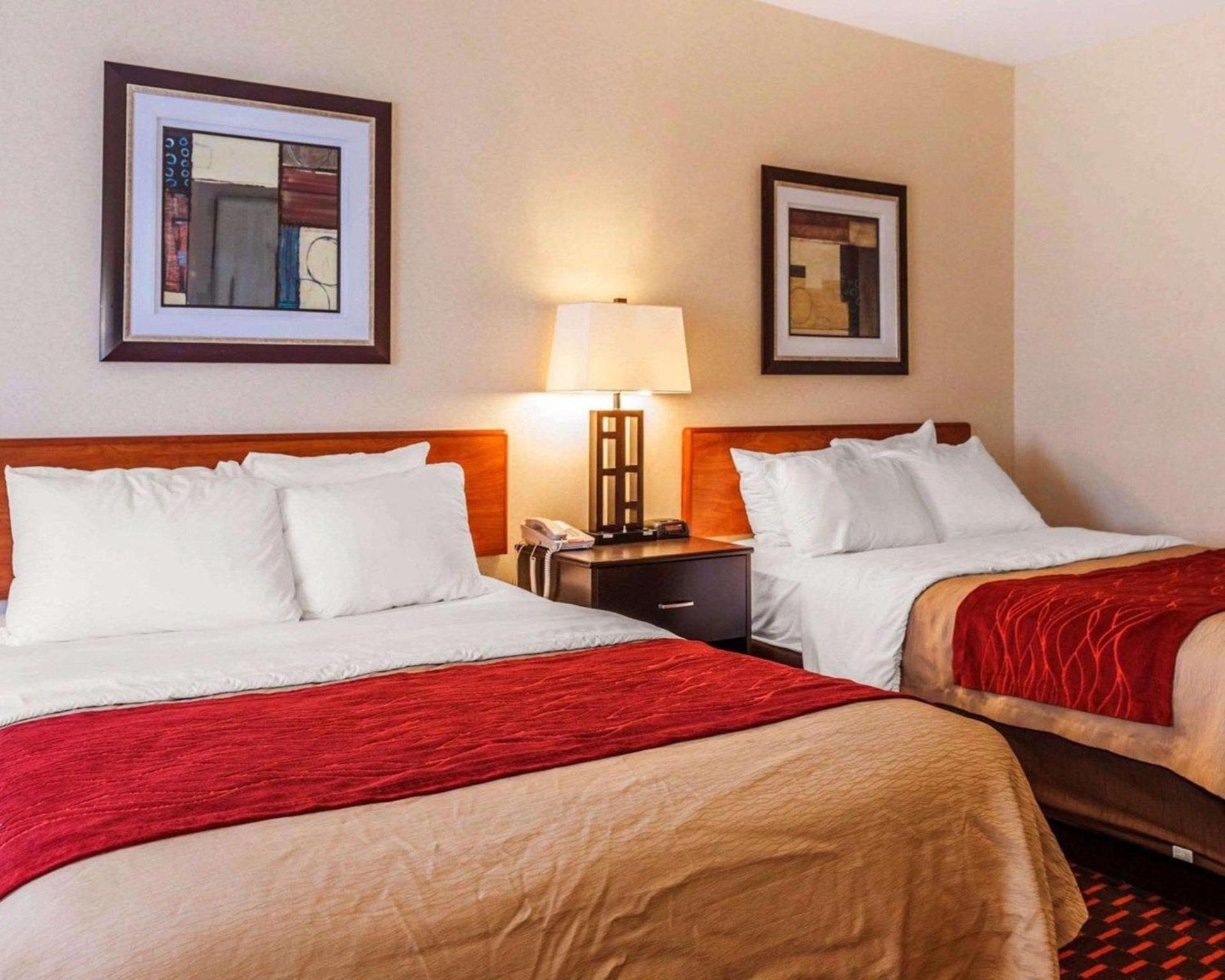 Comfort Inn Avon-Indianapolis West photo 16