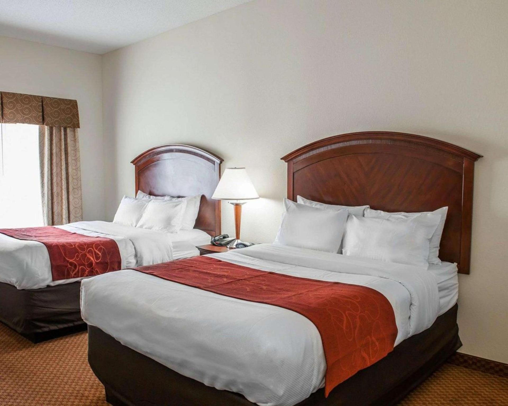 Comfort Suites near Indianapolis Airport photo 25