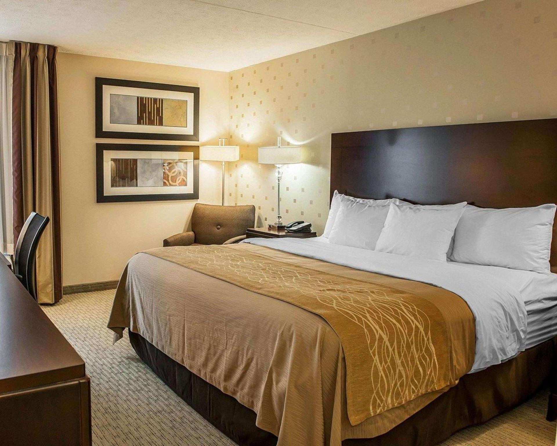 Comfort Inn Bloomington near University photo 8