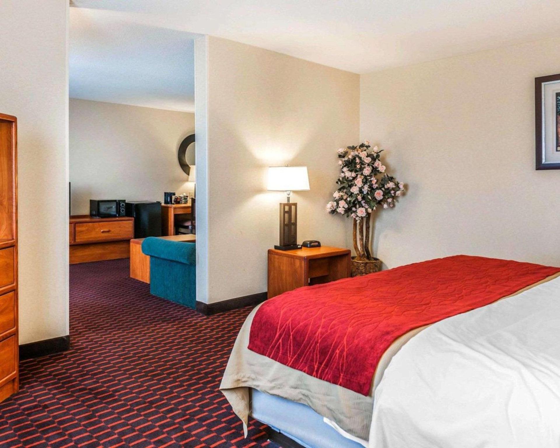 Comfort Inn Avon-Indianapolis West photo 19