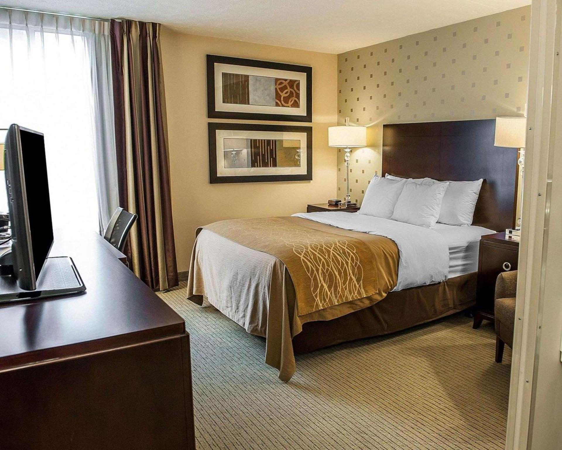 Comfort Inn Bloomington near University photo 18