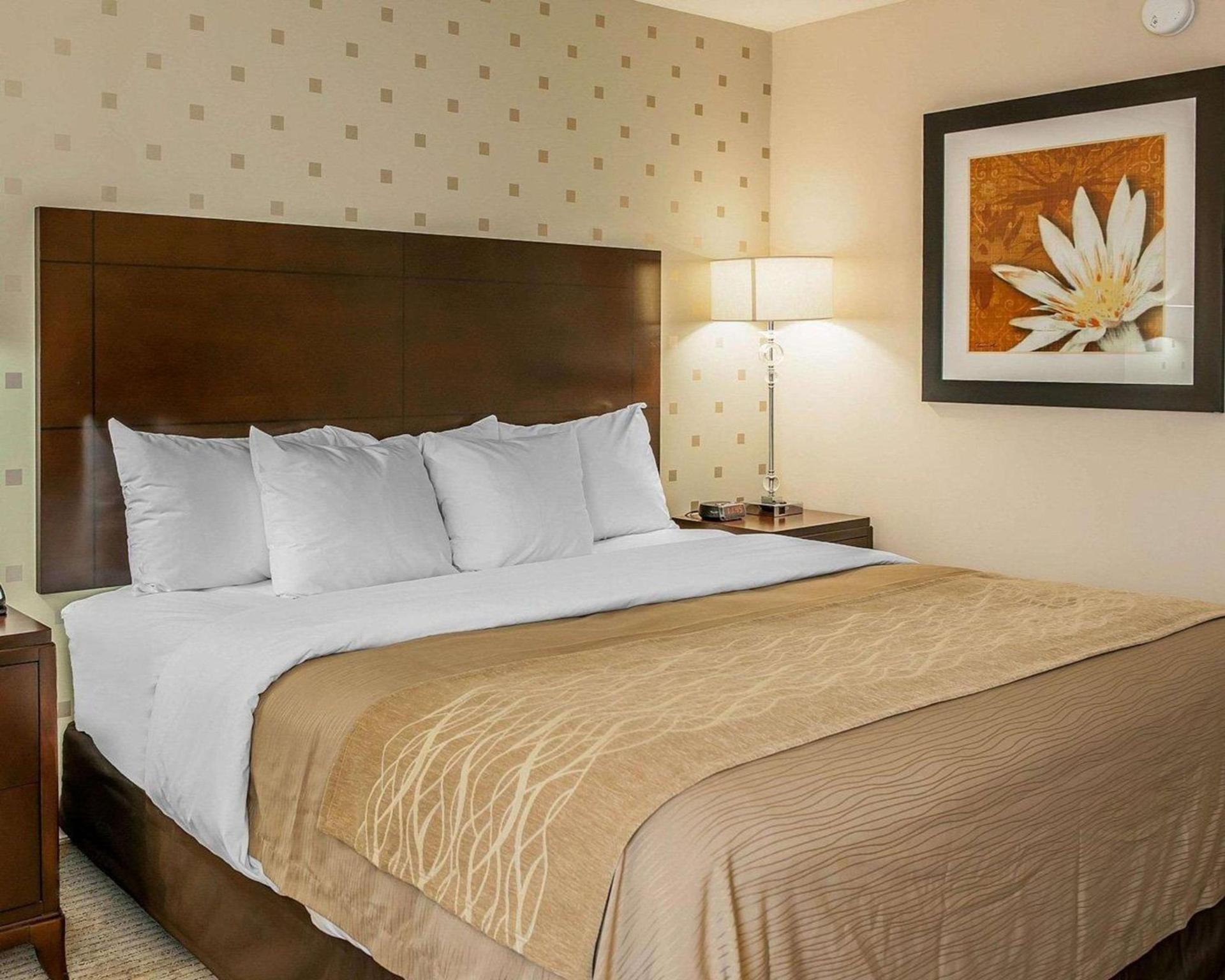 Comfort Inn Bloomington near University photo 15