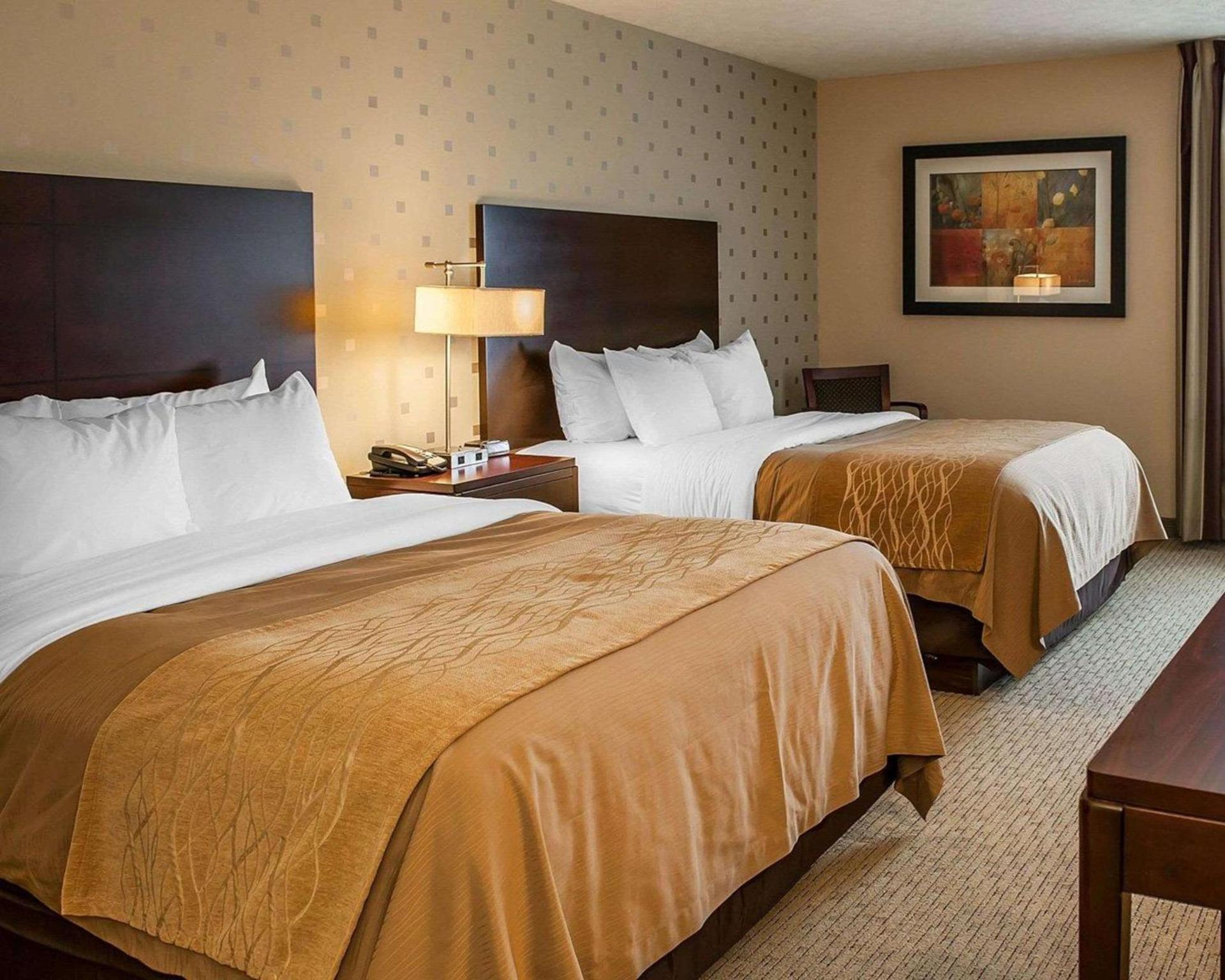 Comfort Inn Bloomington near University photo 13