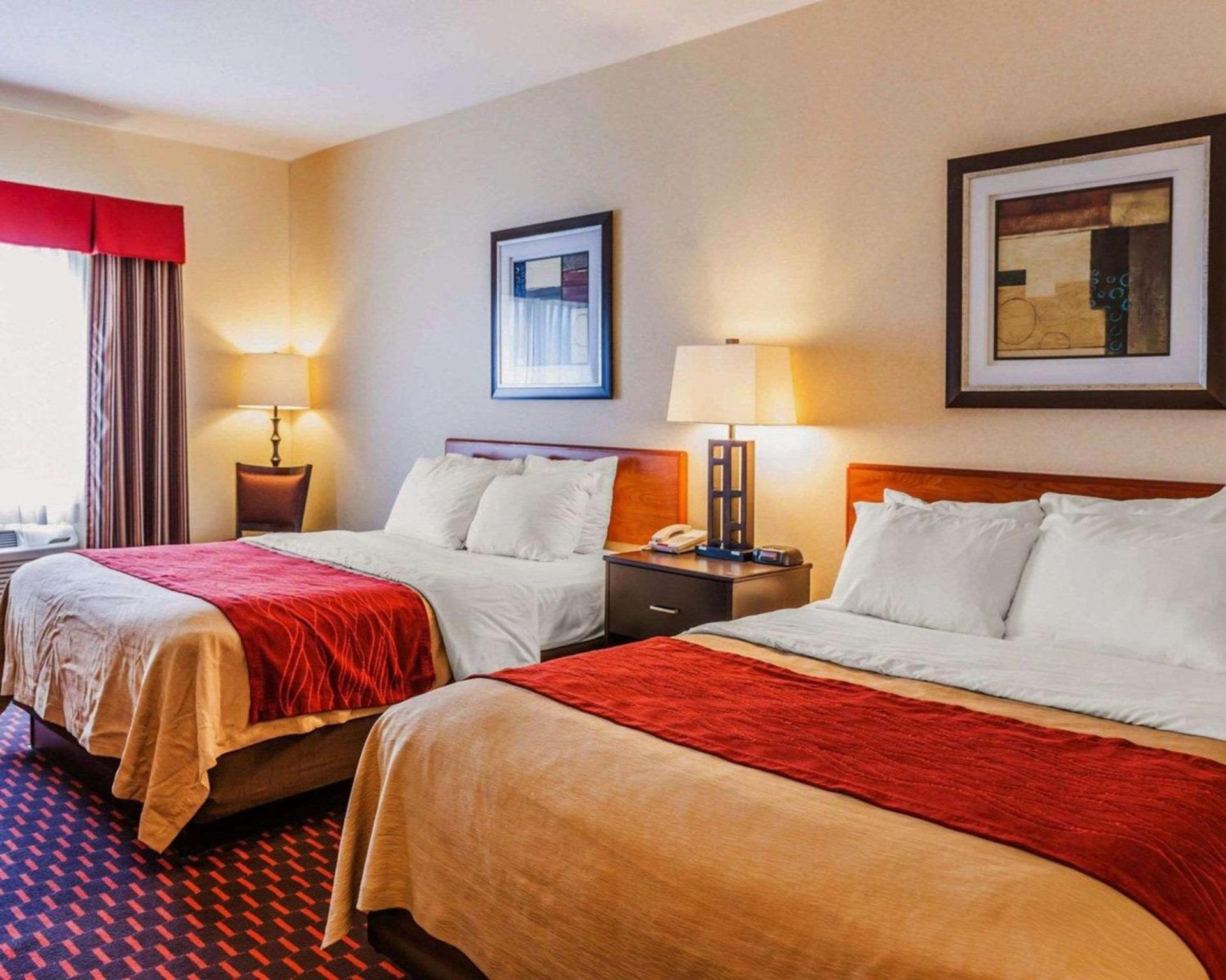 Comfort Inn Avon-Indianapolis West photo 17