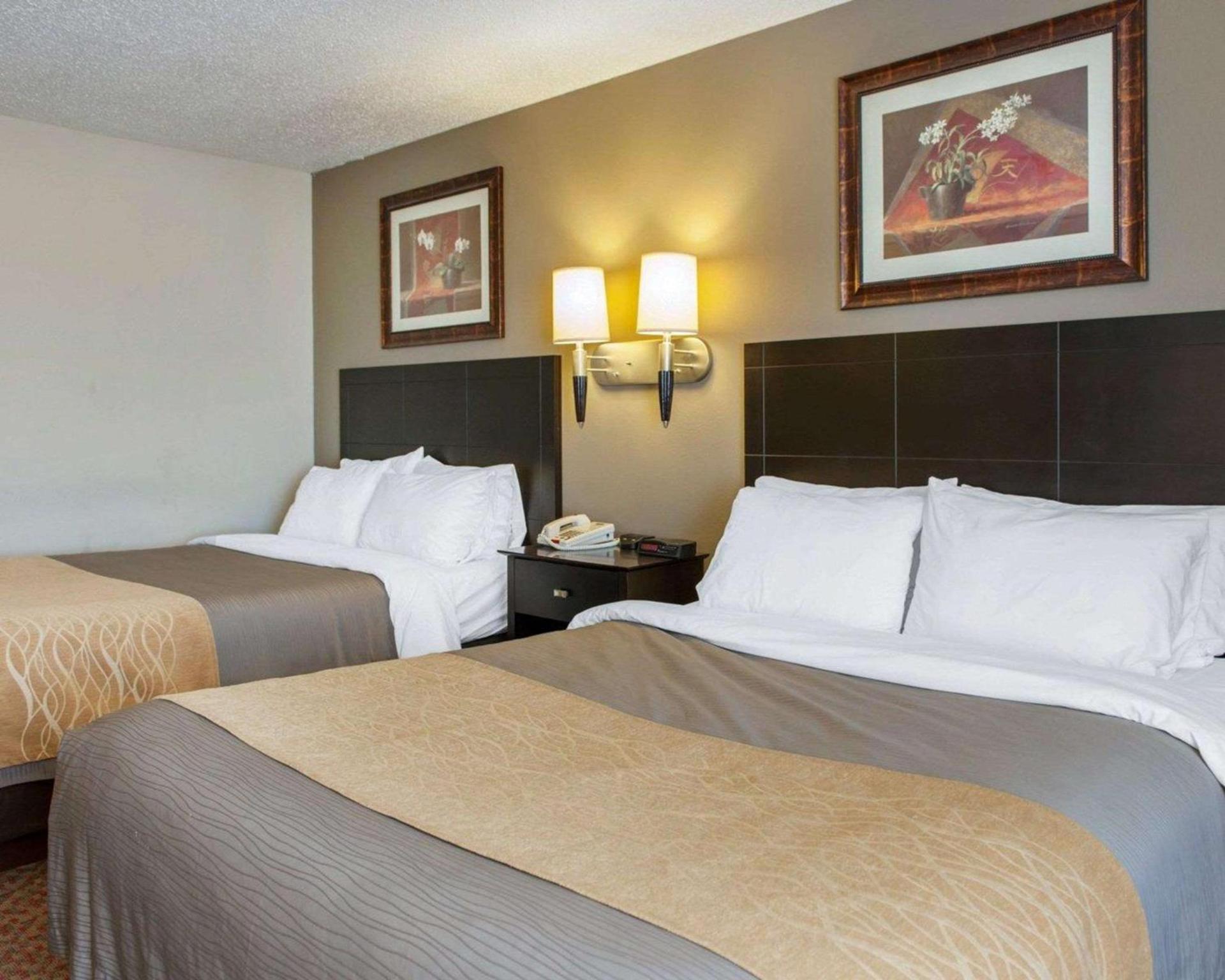 Comfort Inn Near Ouabache State Park photo 16