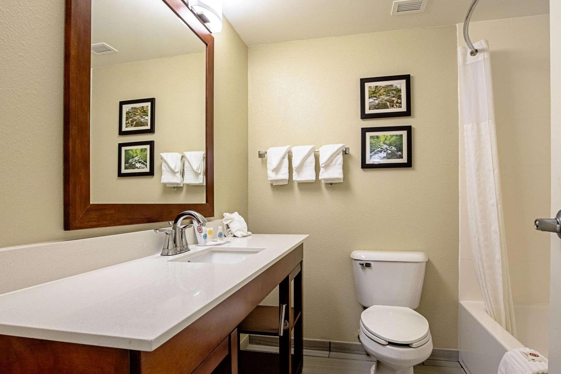 Comfort Inn Indianapolis North - Carmel photo 11