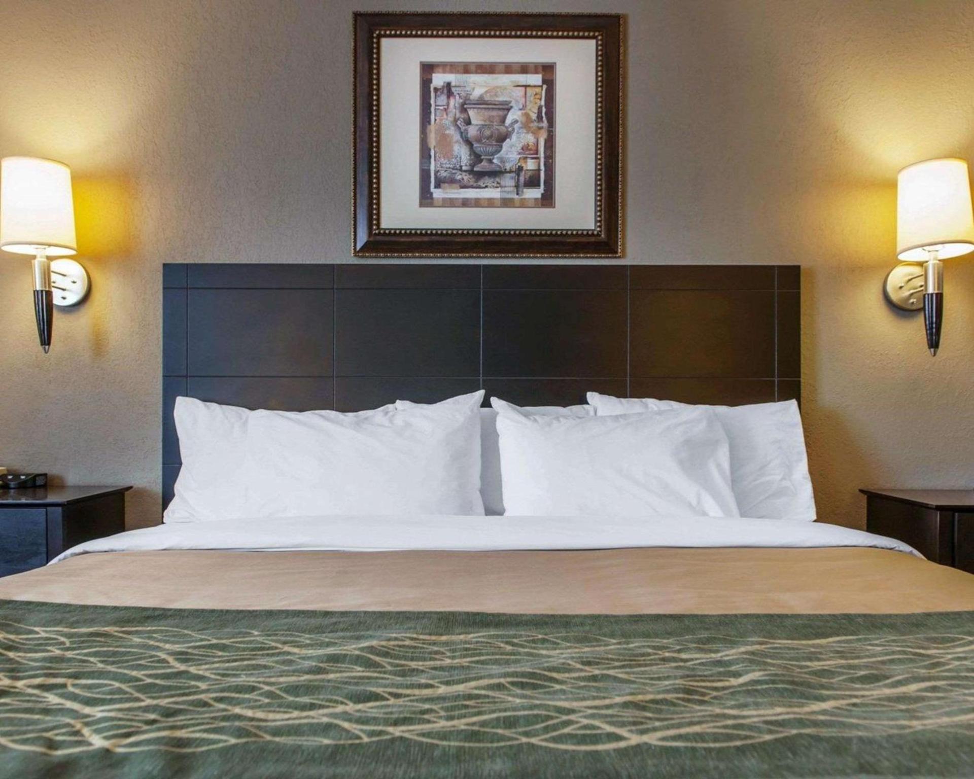 Comfort Inn Near Ouabache State Park photo 41