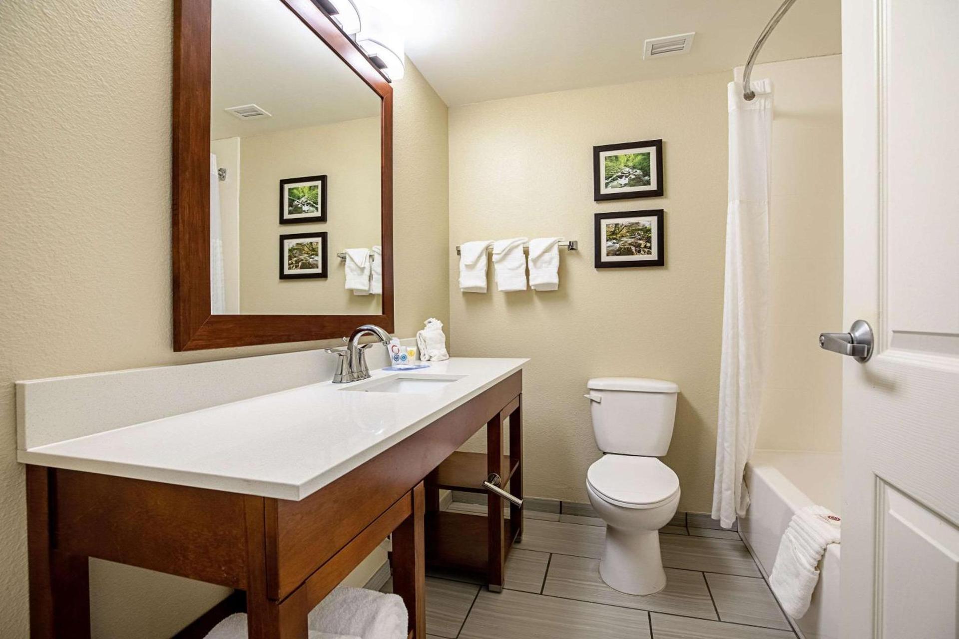 Comfort Inn Indianapolis North - Carmel photo 12