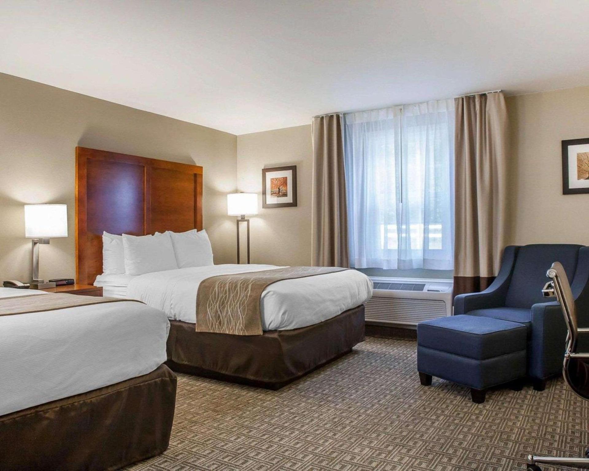 Comfort Inn & Suites Sturbridge-Brimfield photo 14