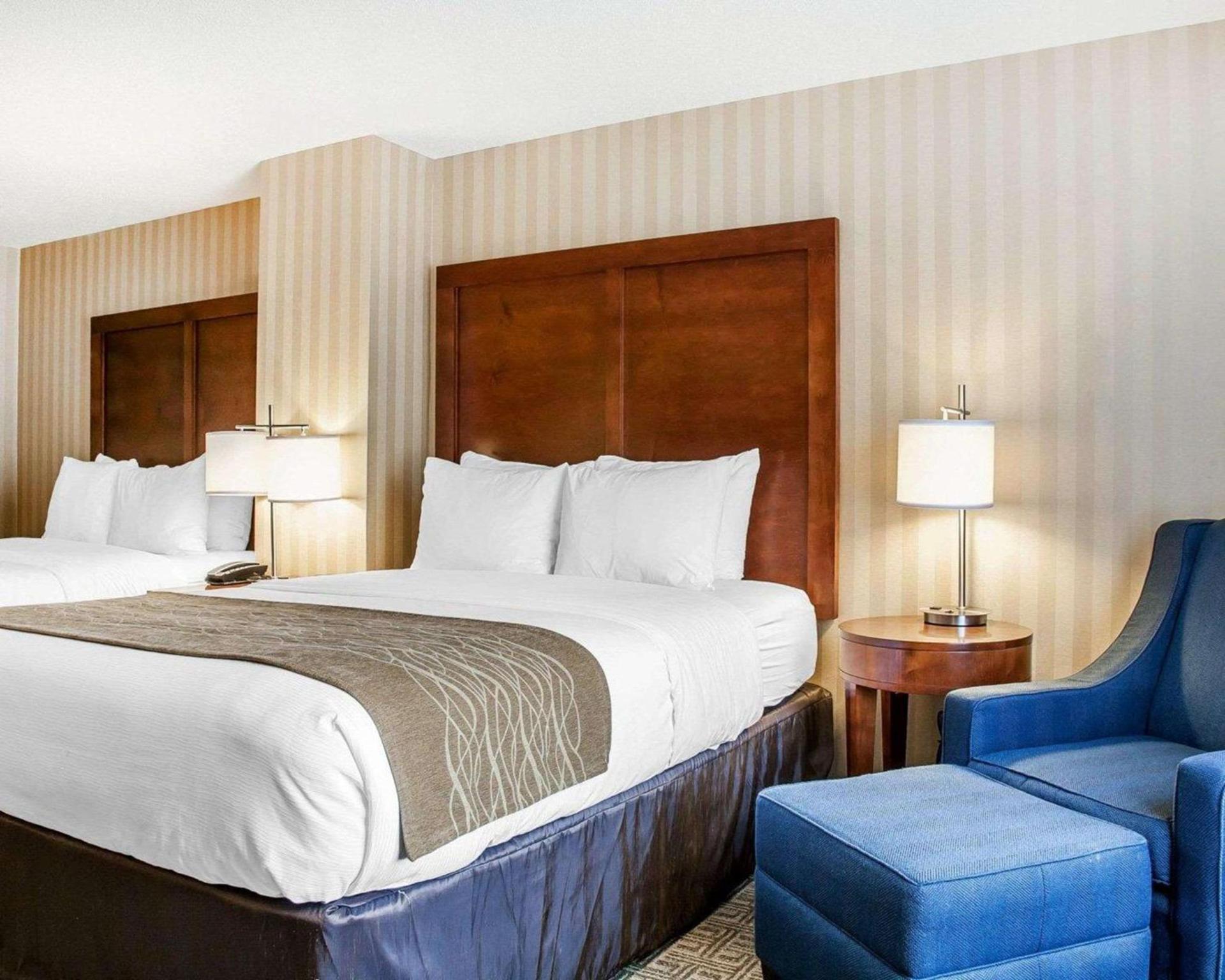 Comfort Inn & Suites Sturbridge-Brimfield photo 12