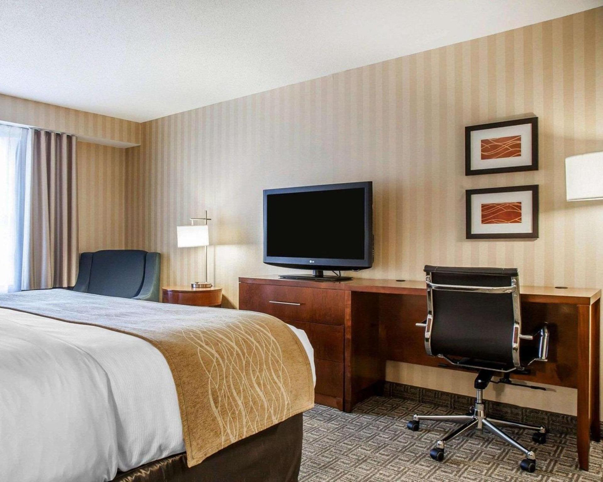 Comfort Inn & Suites Sturbridge-Brimfield photo 9
