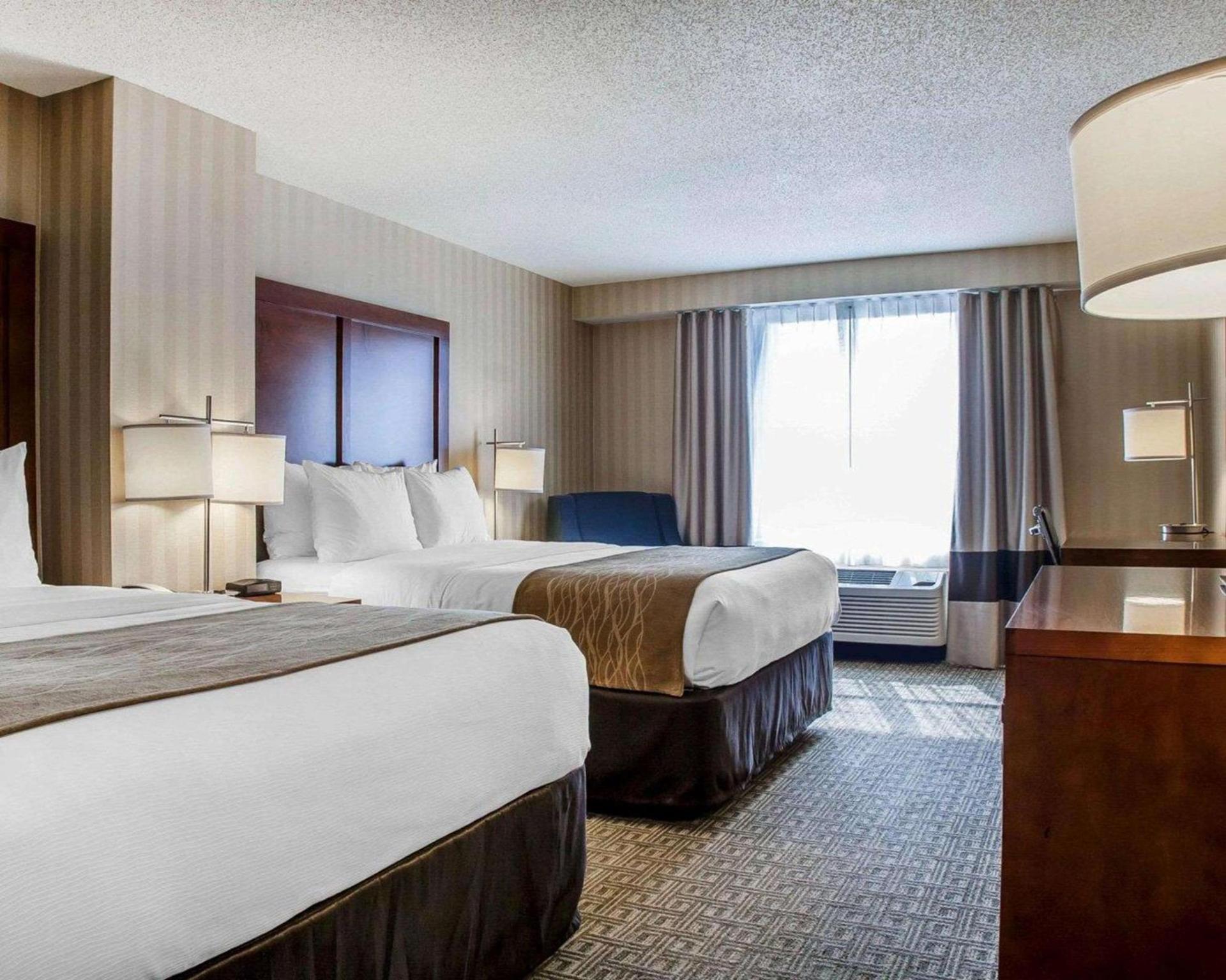 Comfort Inn & Suites Sturbridge-Brimfield photo 13