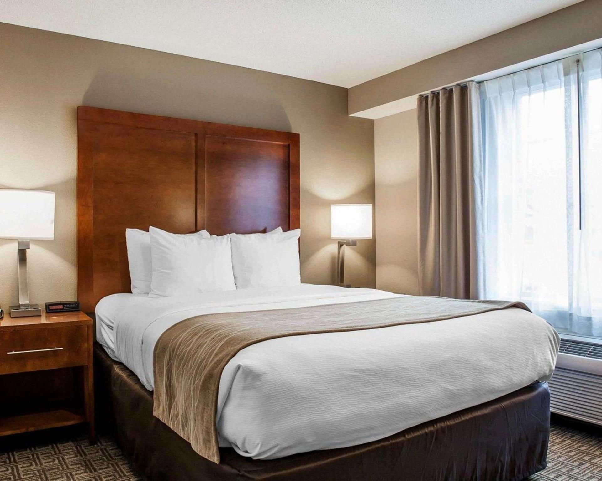 Comfort Inn & Suites Sturbridge-Brimfield photo 18