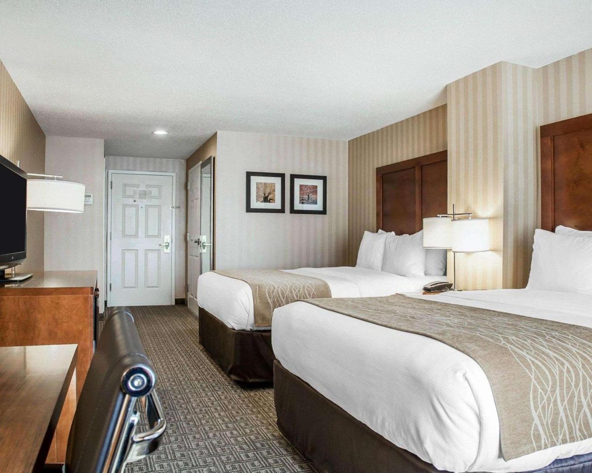 Comfort Inn & Suites Sturbridge-Brimfield photo 8
