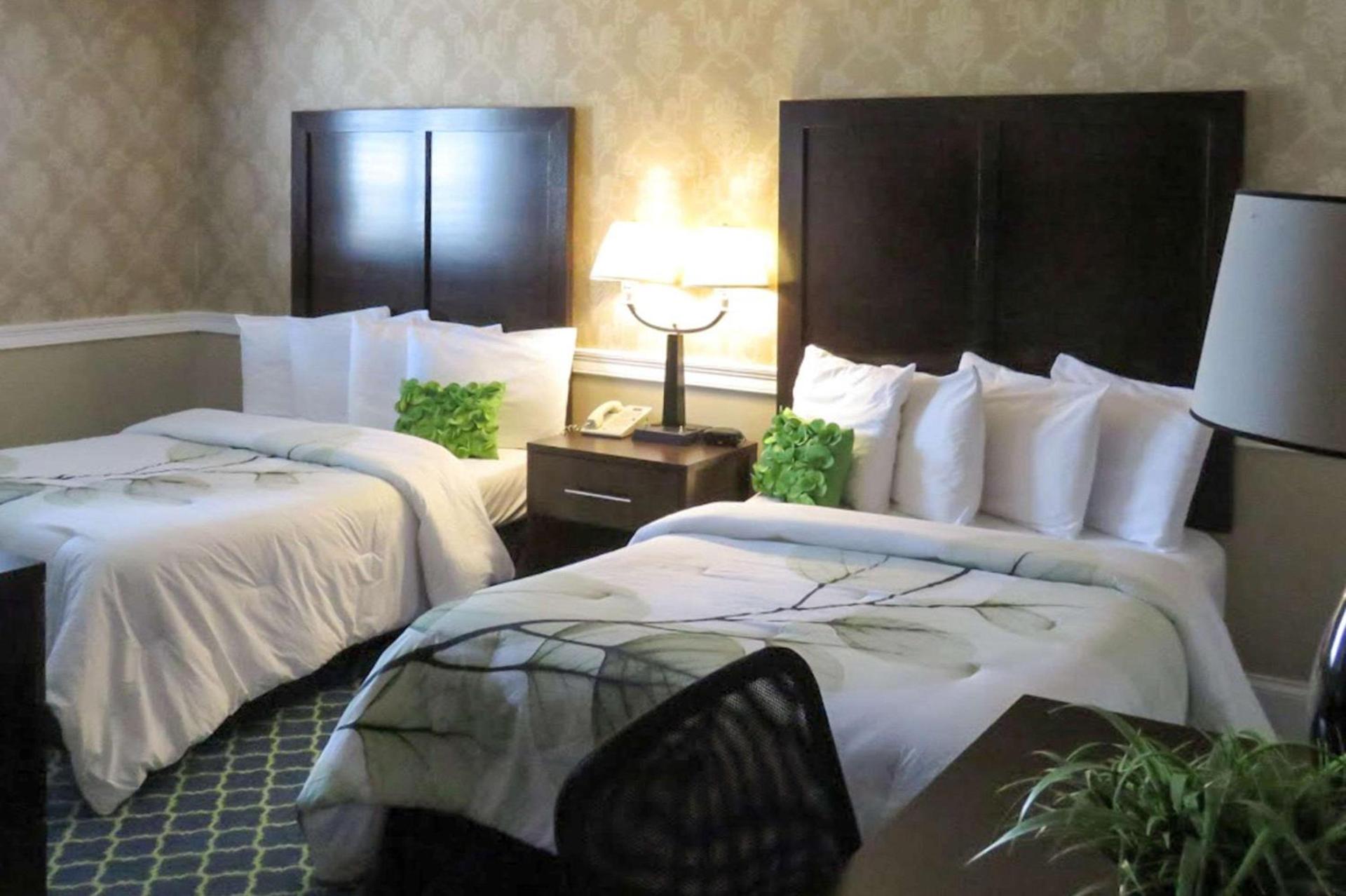 Rodeway Inn Logan International Airport photo 11
