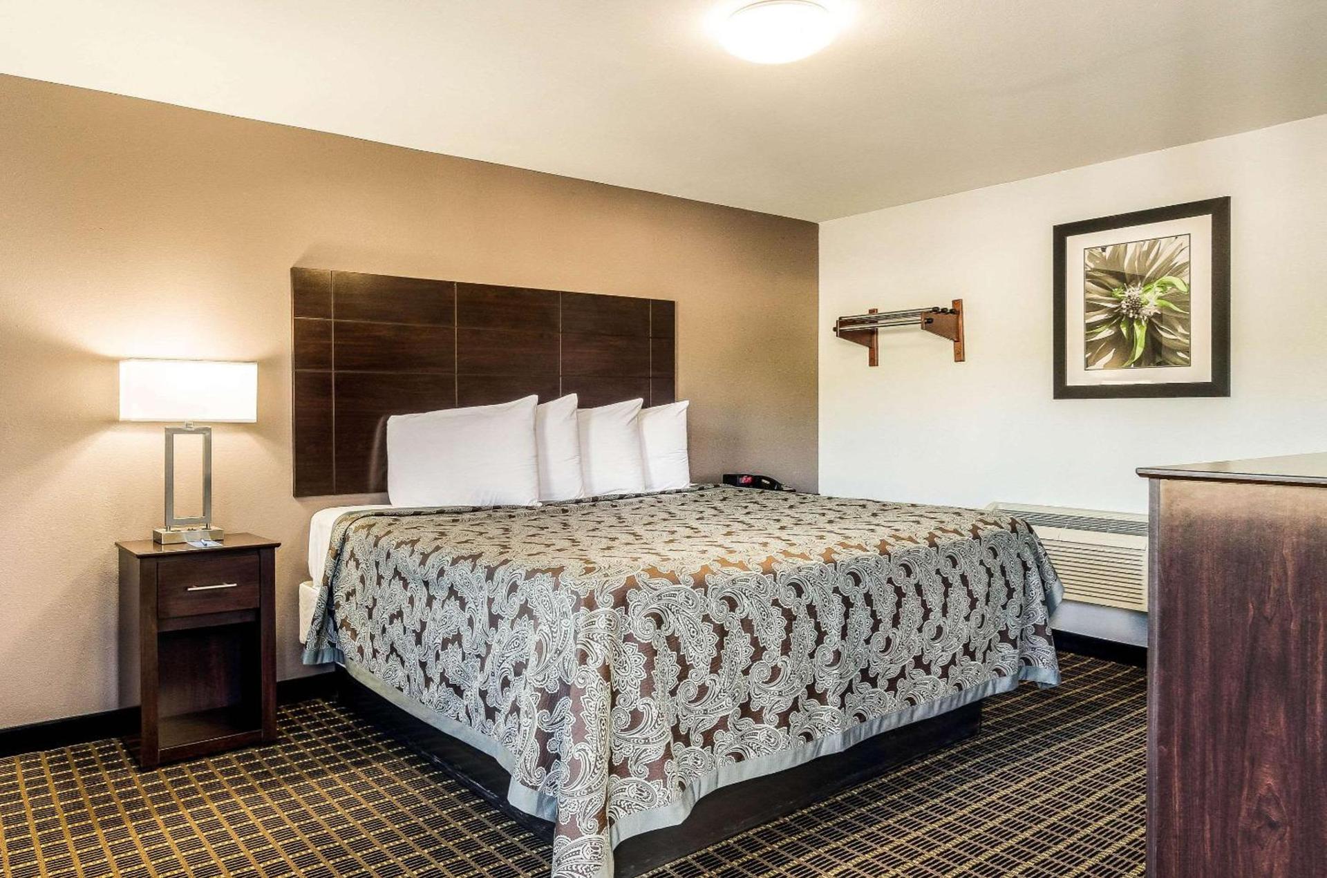 Rodeway Inn Middleboro-Plymouth photo 19