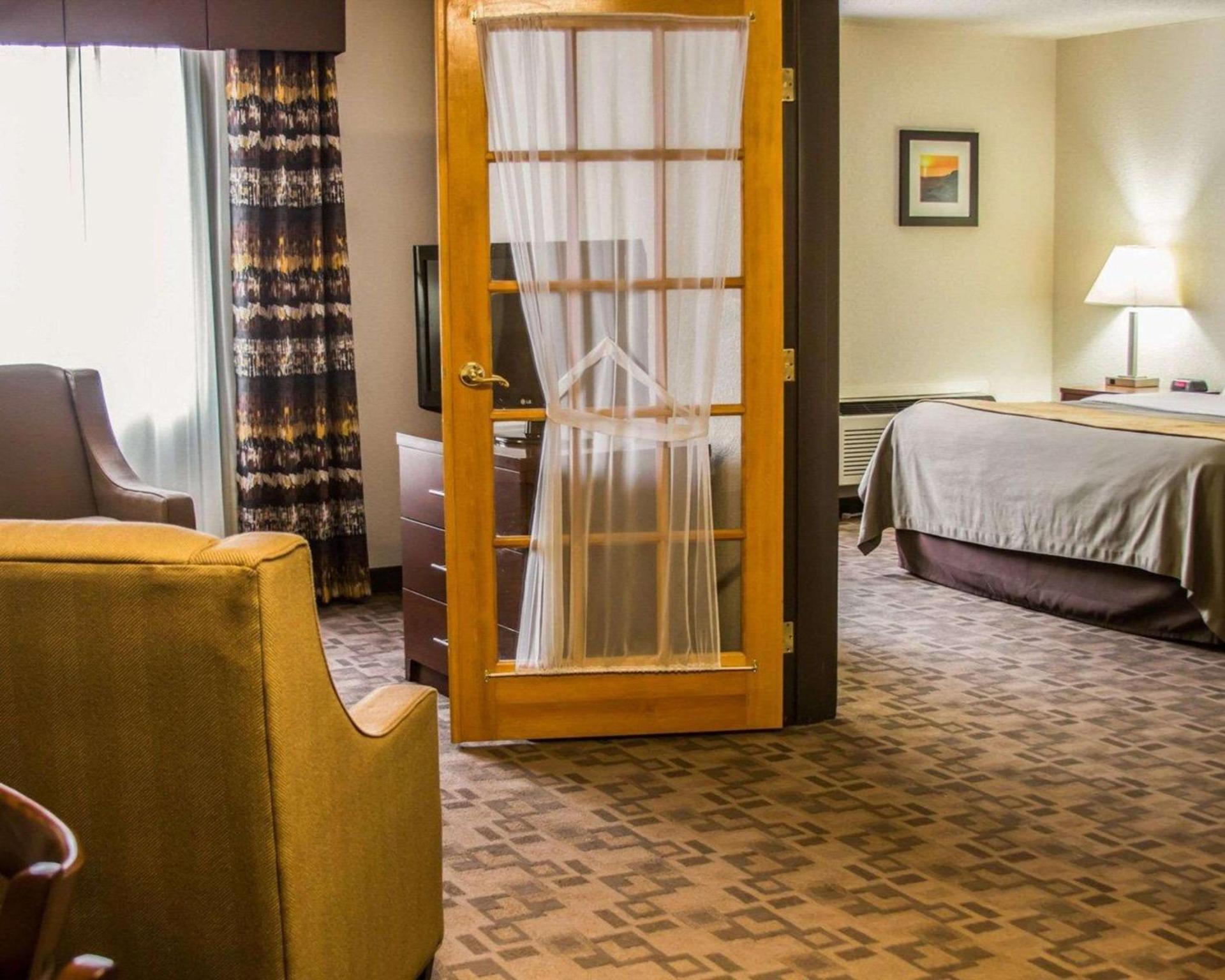 Comfort Inn Birch Run - Frankenmuth photo 22