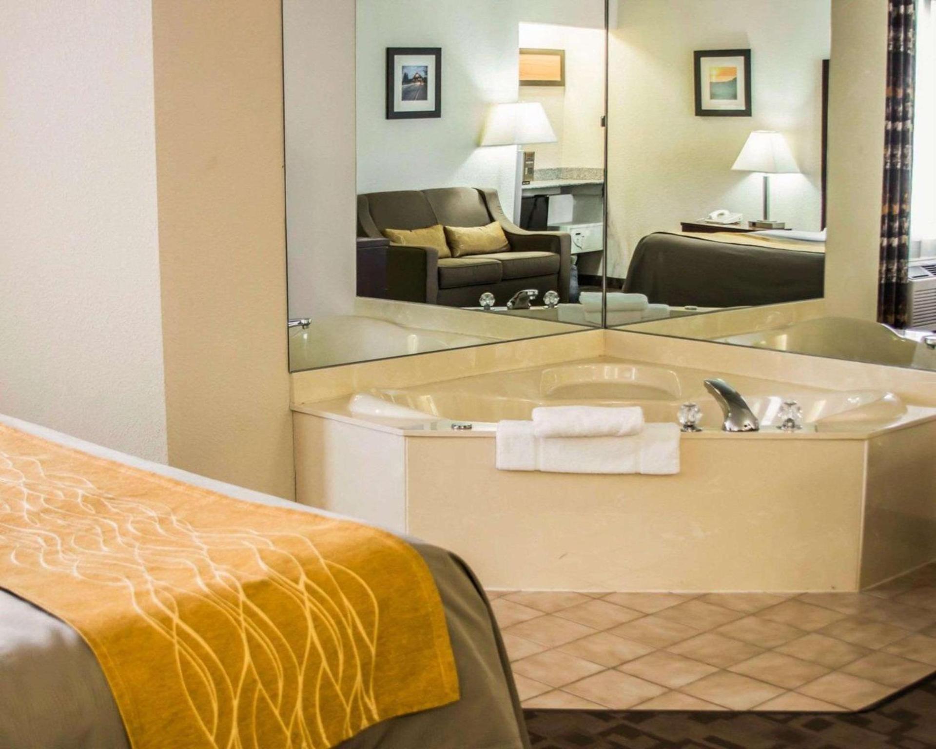 Comfort Inn Birch Run - Frankenmuth photo 9