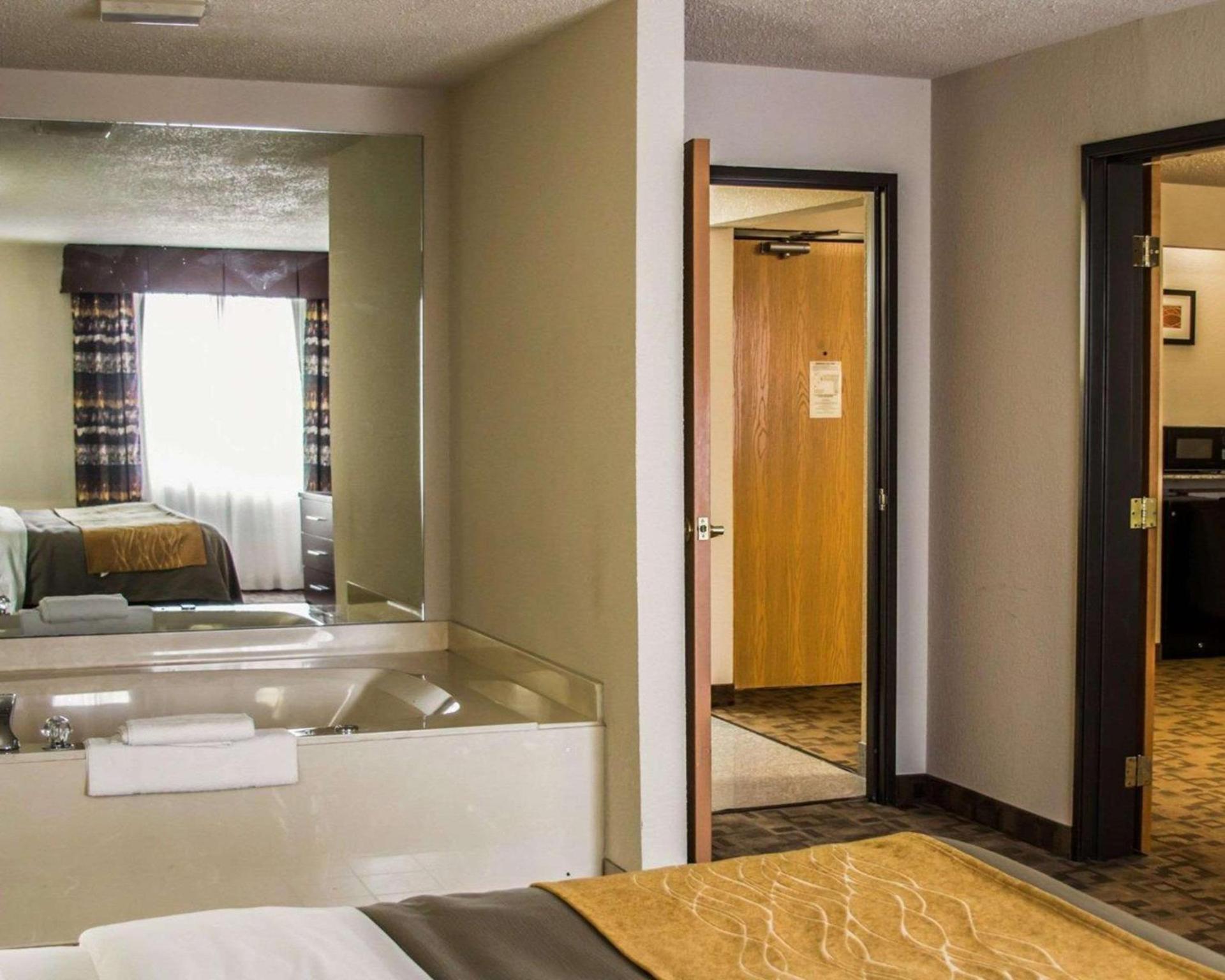 Comfort Inn Birch Run - Frankenmuth photo 23