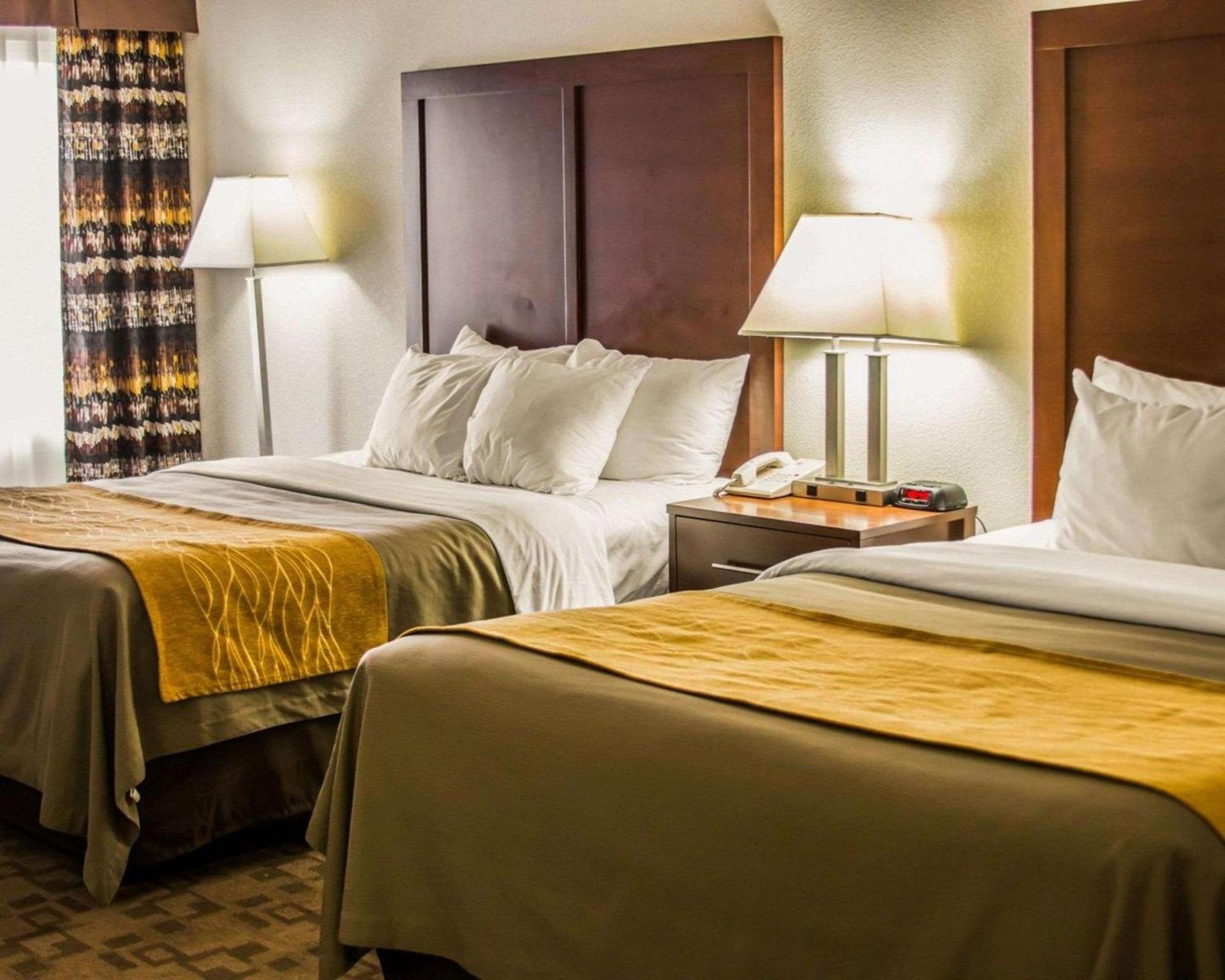 Comfort Inn Birch Run - Frankenmuth photo 11