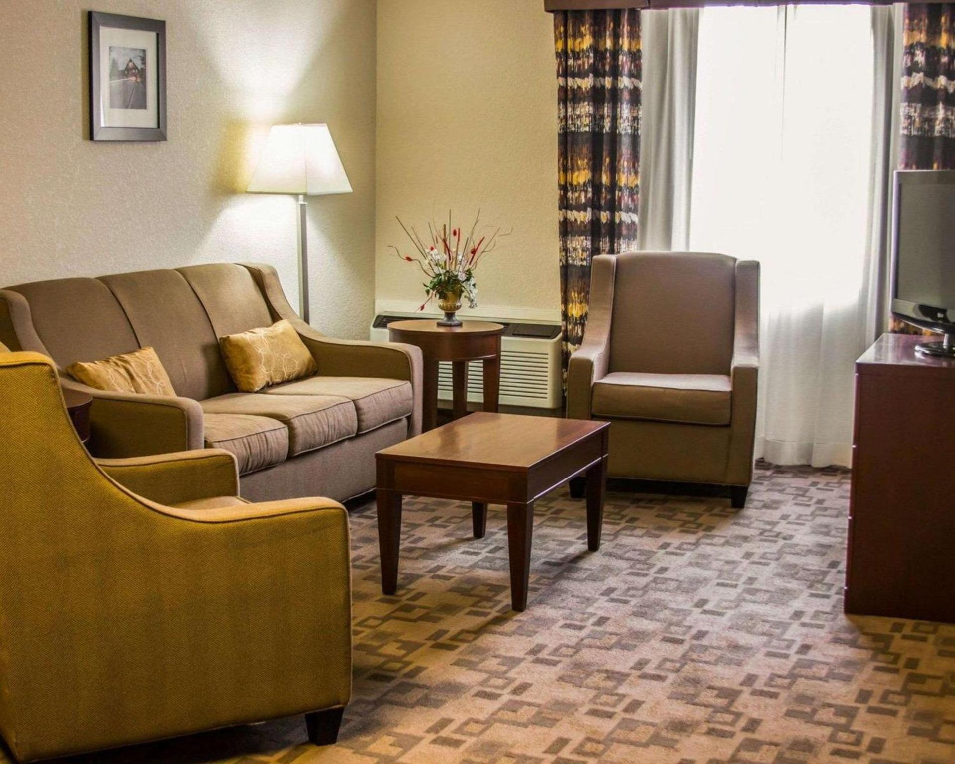 Comfort Inn Birch Run - Frankenmuth photo 21
