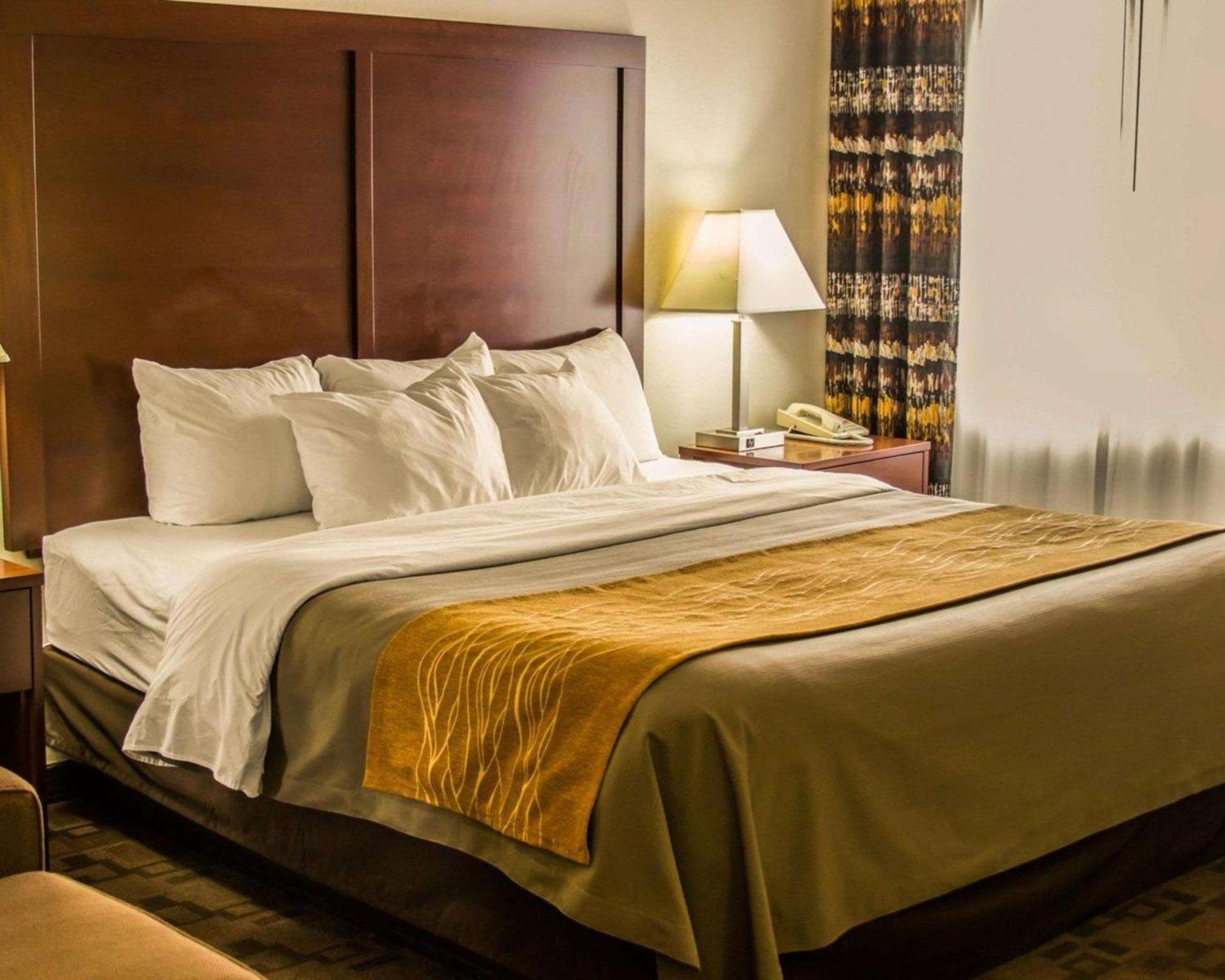 Comfort Inn Birch Run - Frankenmuth photo 12