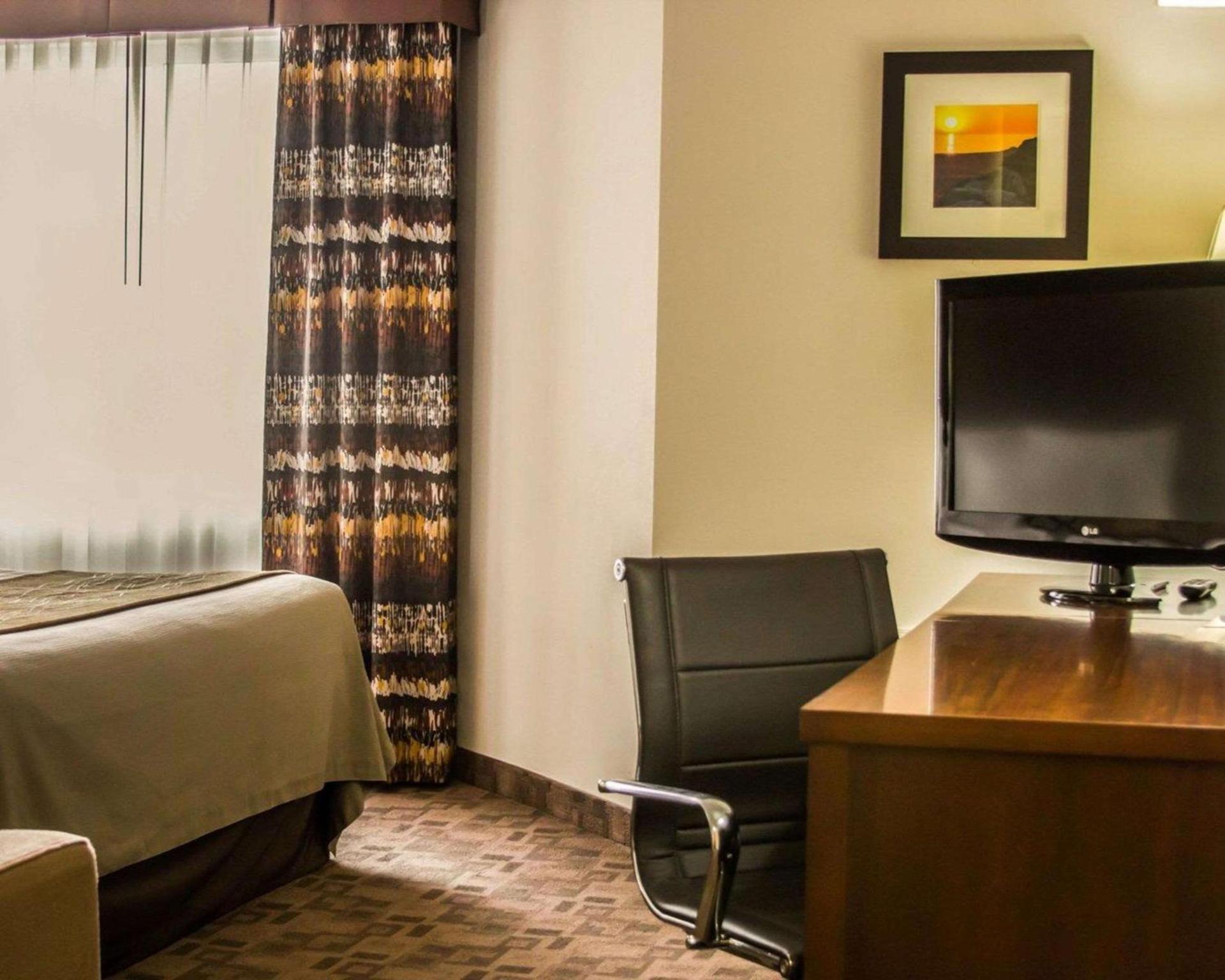 Comfort Inn Birch Run - Frankenmuth photo 6