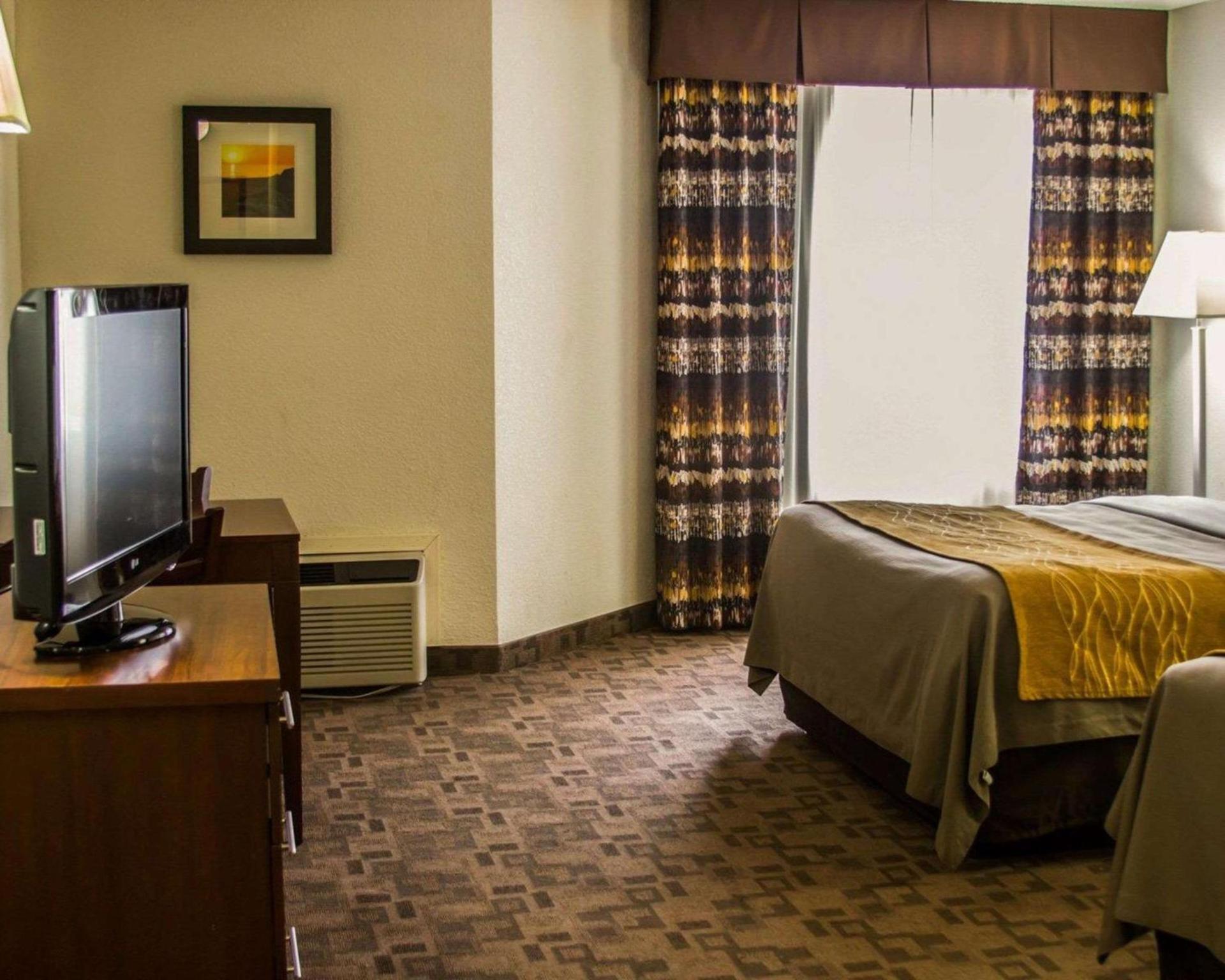 Comfort Inn Birch Run - Frankenmuth photo 10