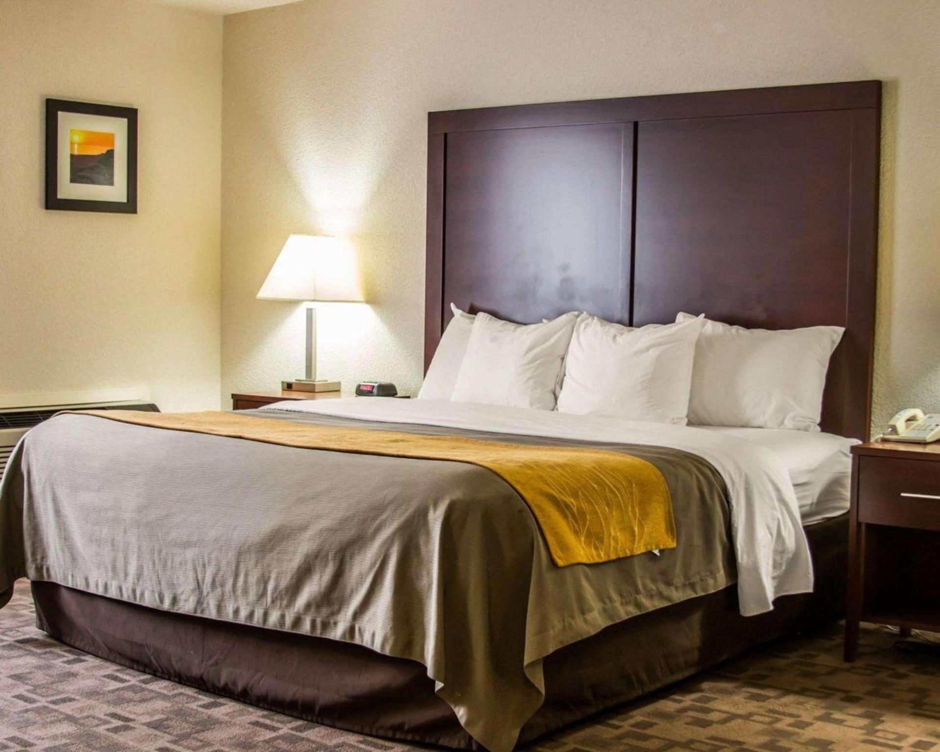 Comfort Inn Birch Run - Frankenmuth photo 24