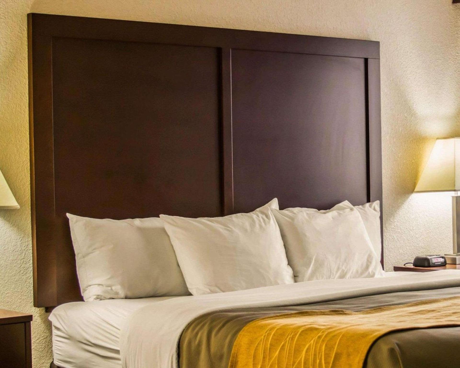 Comfort Inn Birch Run - Frankenmuth photo 19